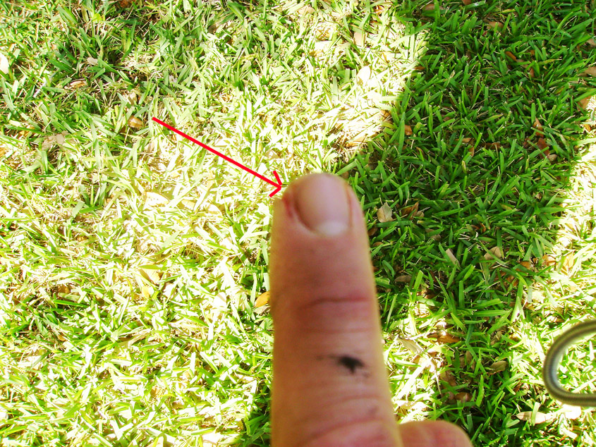 Name:  finger_zps3c75d760.jpg
Views: 134
Size:  446.4 KB