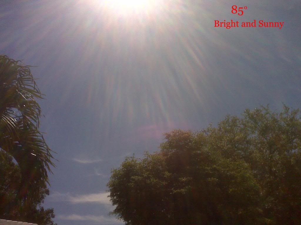 Name:  SunnyDay1_zps31eb512e.jpg
Views: 159
Size:  52.3 KB