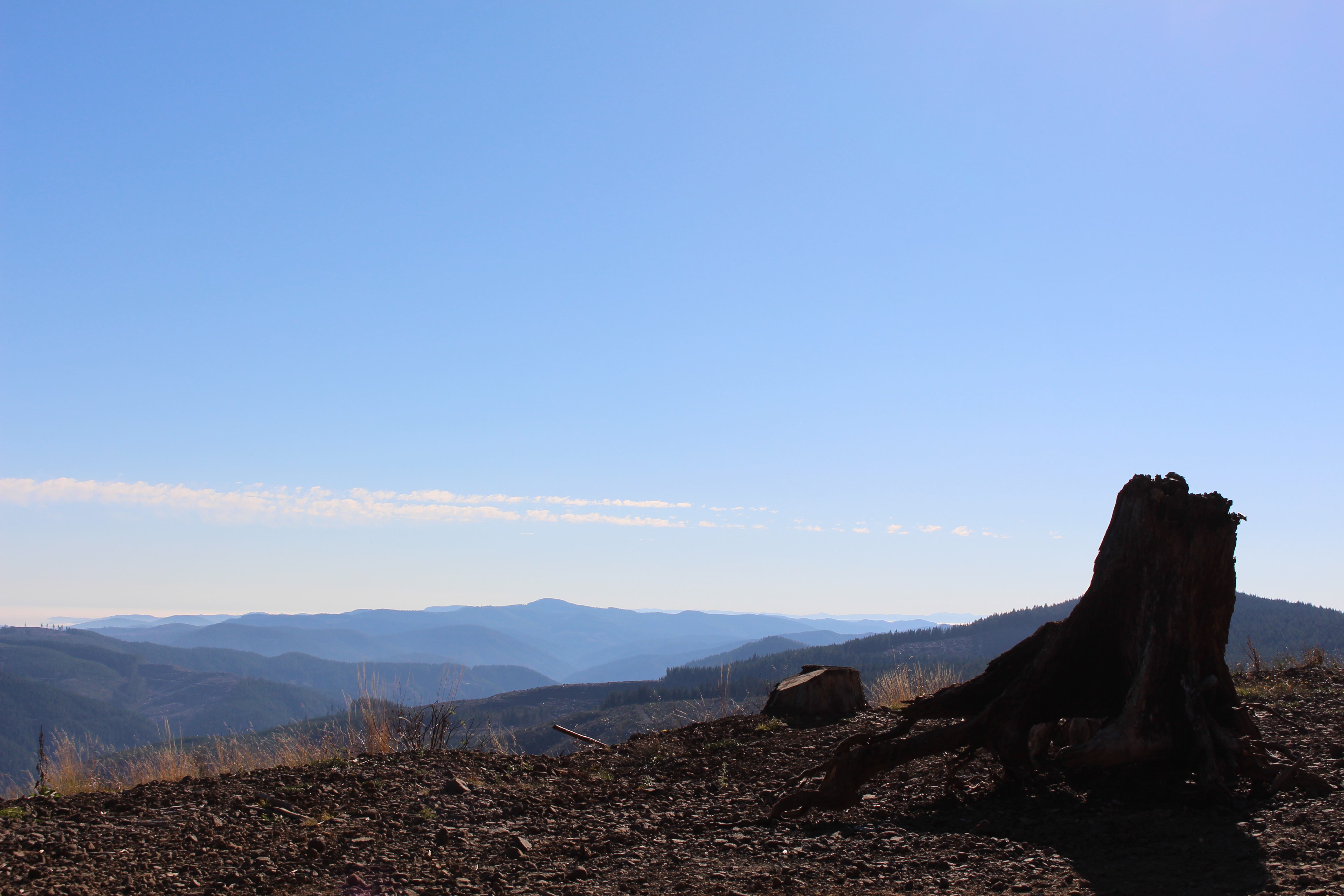 Name: IMG_1251_zps0a24f3b5.jpg
Views: 71
Size: 5.00 MB