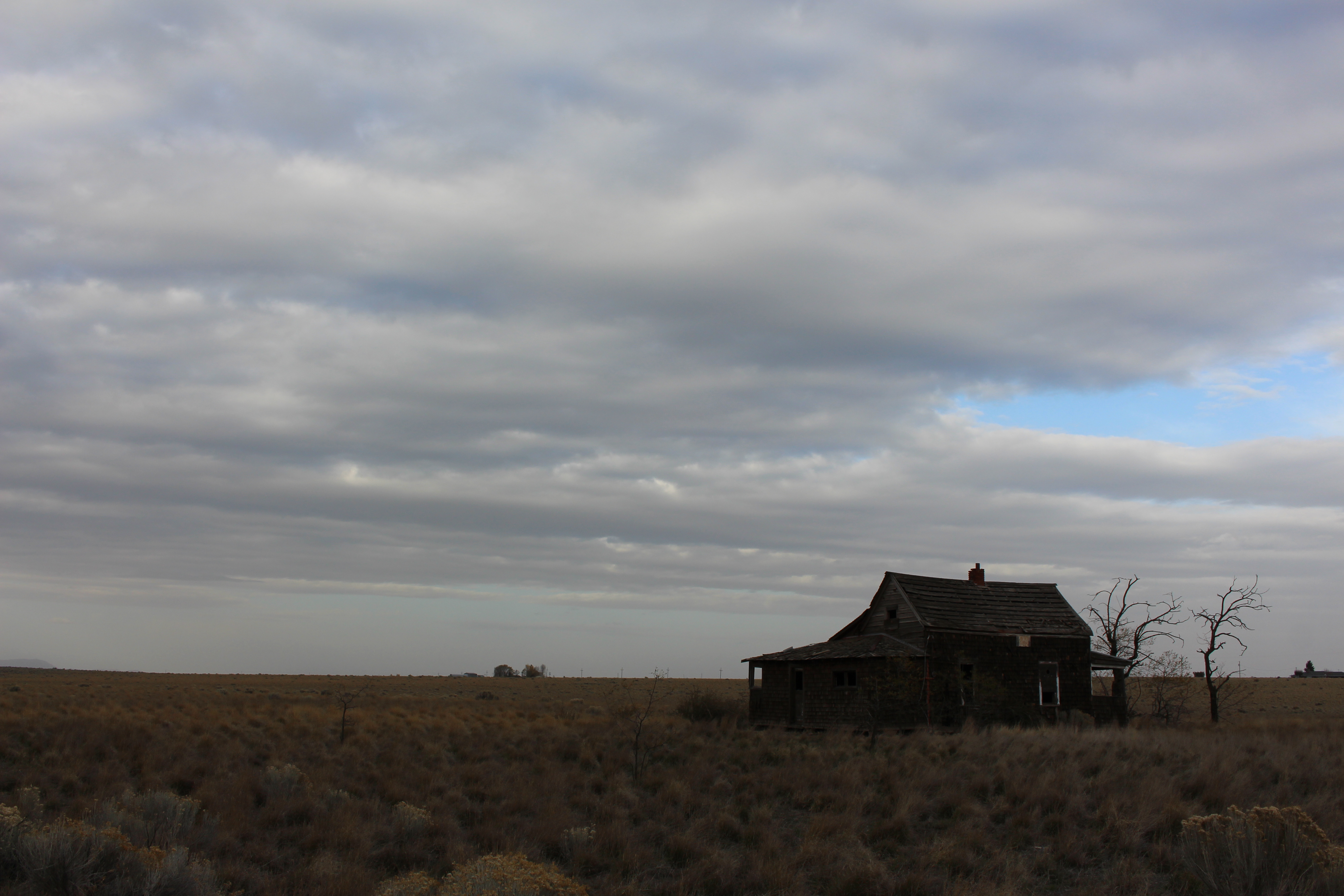 Name: IMG_1295_zps4d1d67ca.jpg
Views: 70
Size: 4.60 MB