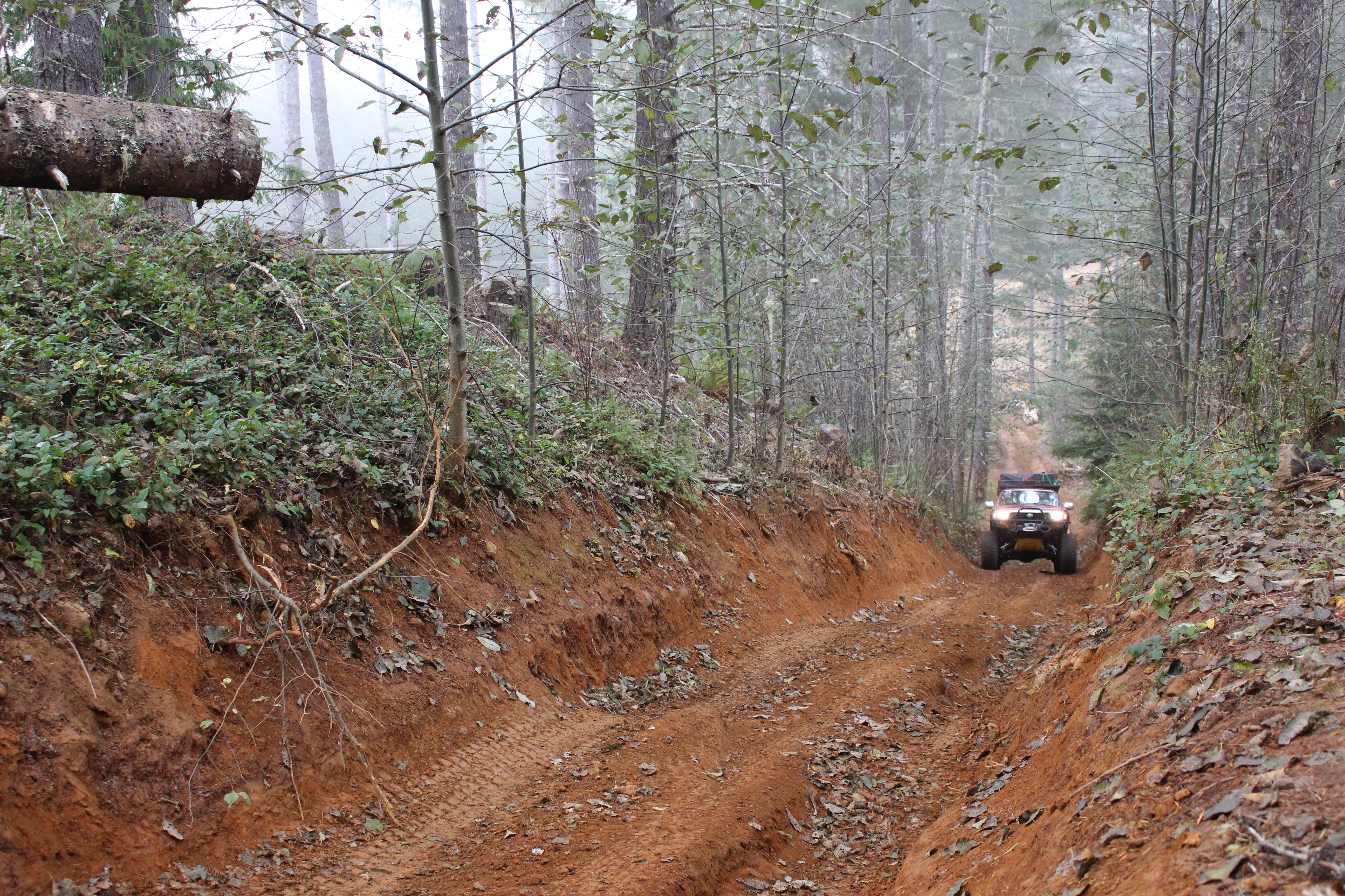 Name: IMG_1078_zps39592ec0.jpg
Views: 77
Size: 11.90 MB