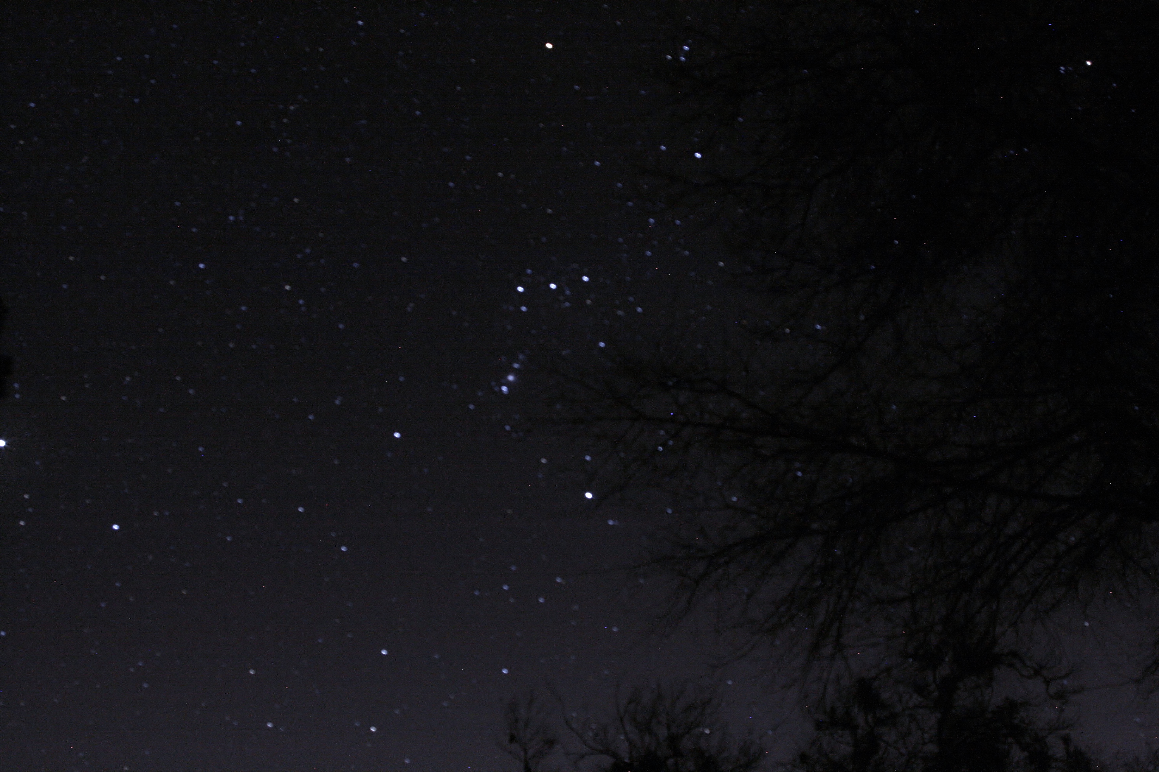 Name: IMG_6102.jpg
Views: 195
Size: 3.30 MB