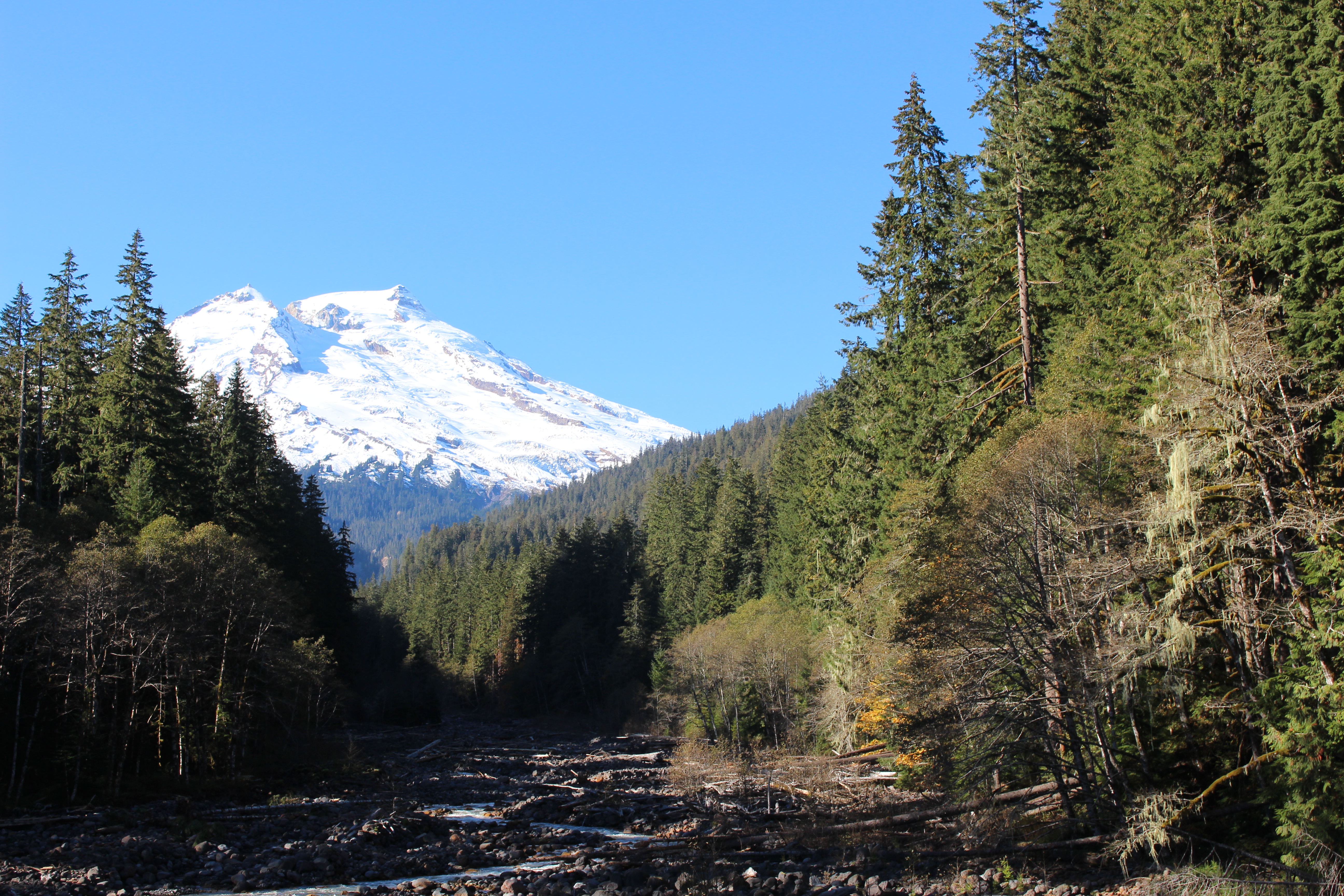 Name: IMG_0595_zps290227f3.jpg
Views: 59
Size: 8.84 MB