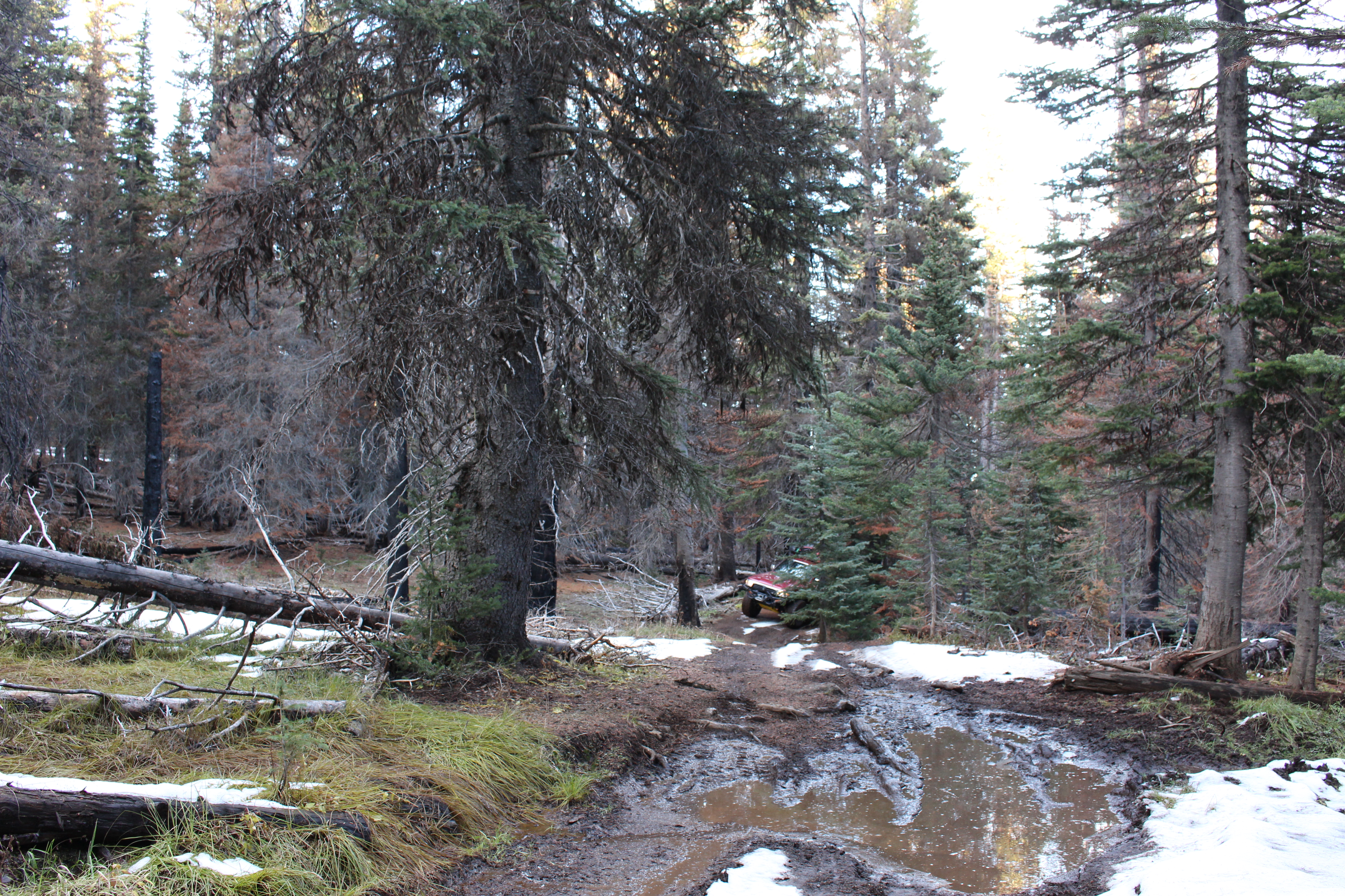 Name: IMG_0780_zpsea6d9127.jpg
Views: 56
Size: 10.19 MB