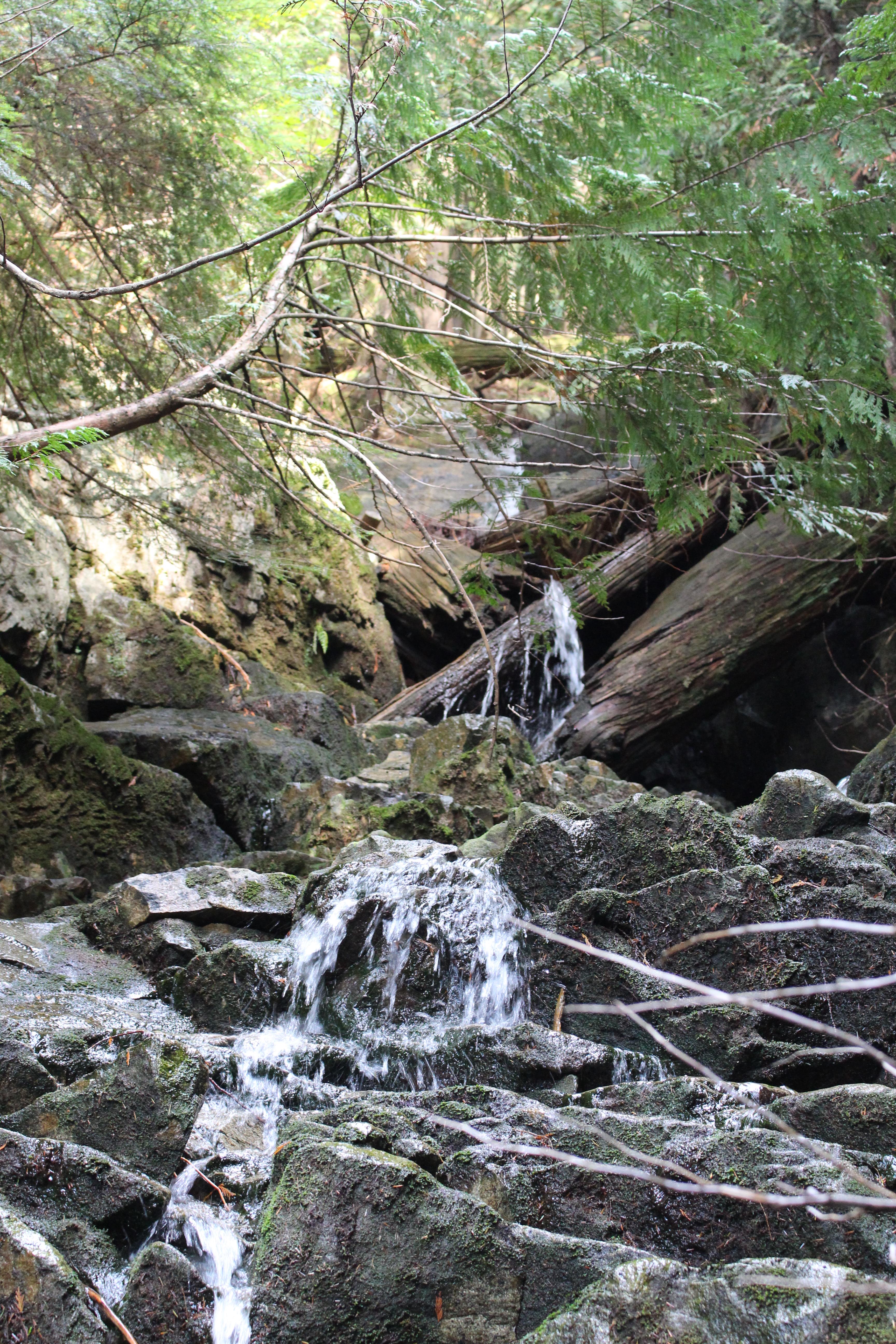Name: IMG_0532_zps03a91e8f.jpg
Views: 55
Size: 3.03 MB
