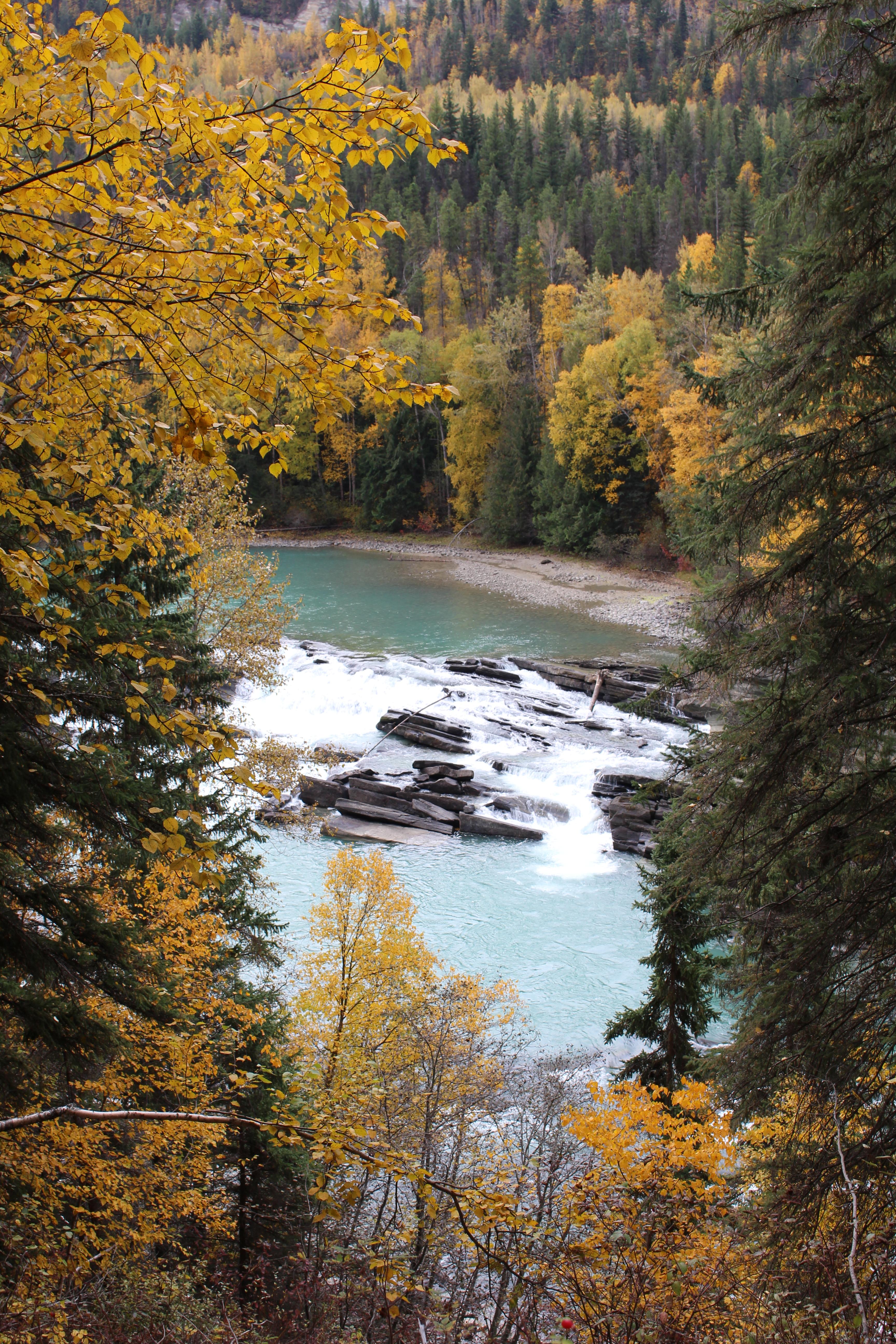 Name: IMG_0291_zps7a6d0fb2.jpg
Views: 64
Size: 2.97 MB