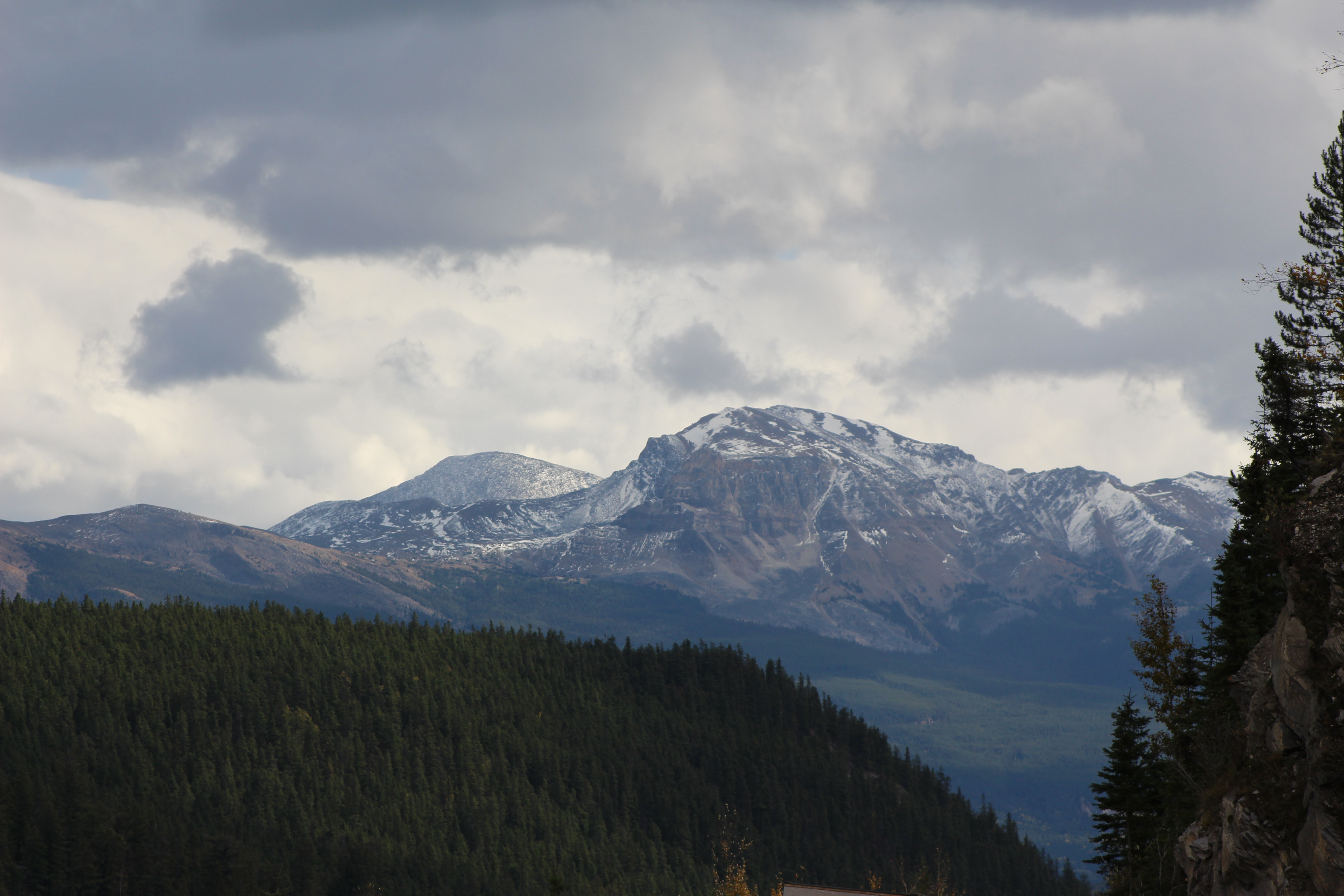 Name: IMG_0297_zps32bc5704.jpg
Views: 64
Size: 4.65 MB