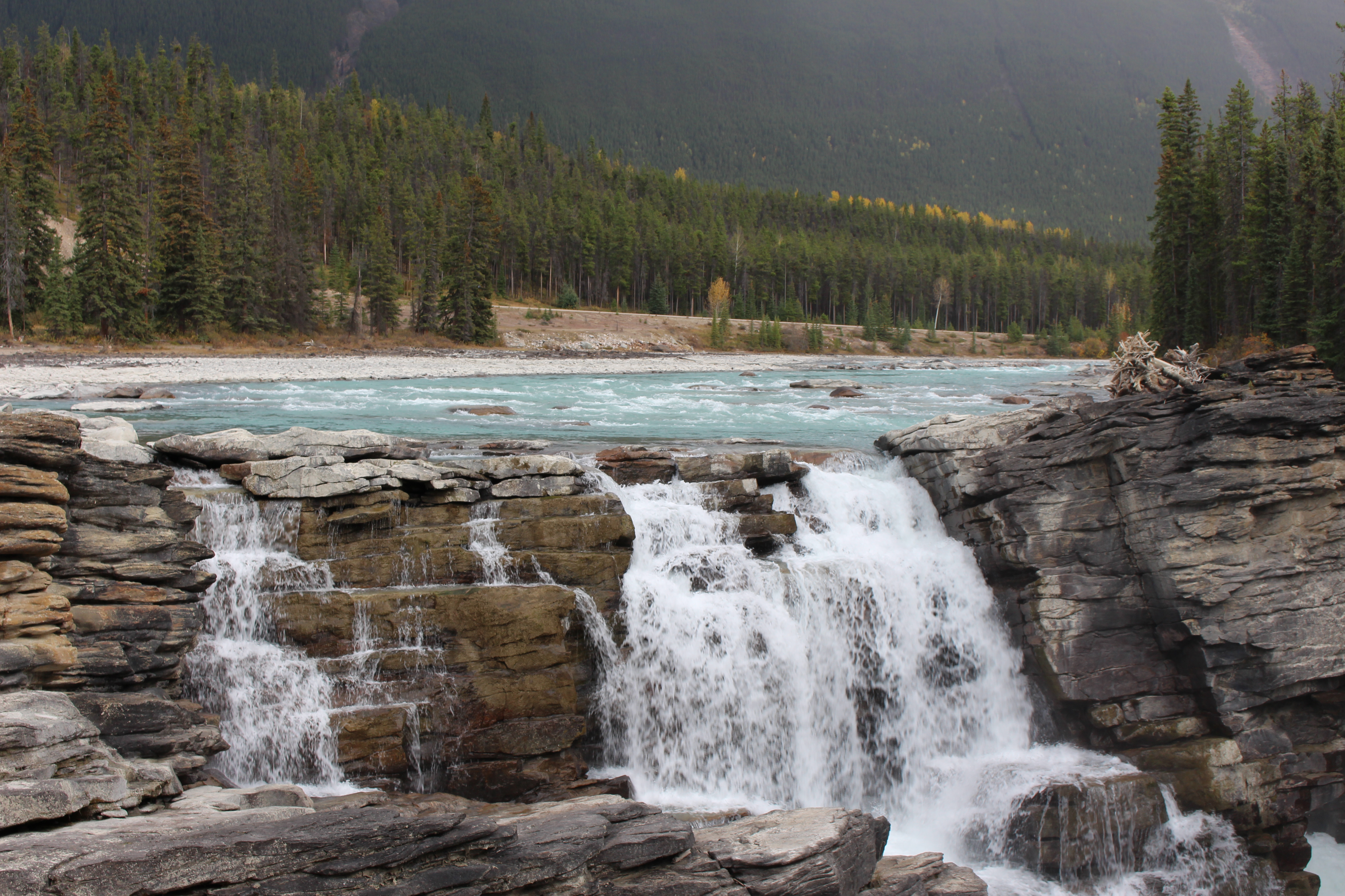 Name: IMG_0314_zps7ac46a55.jpg
Views: 61
Size: 7.17 MB