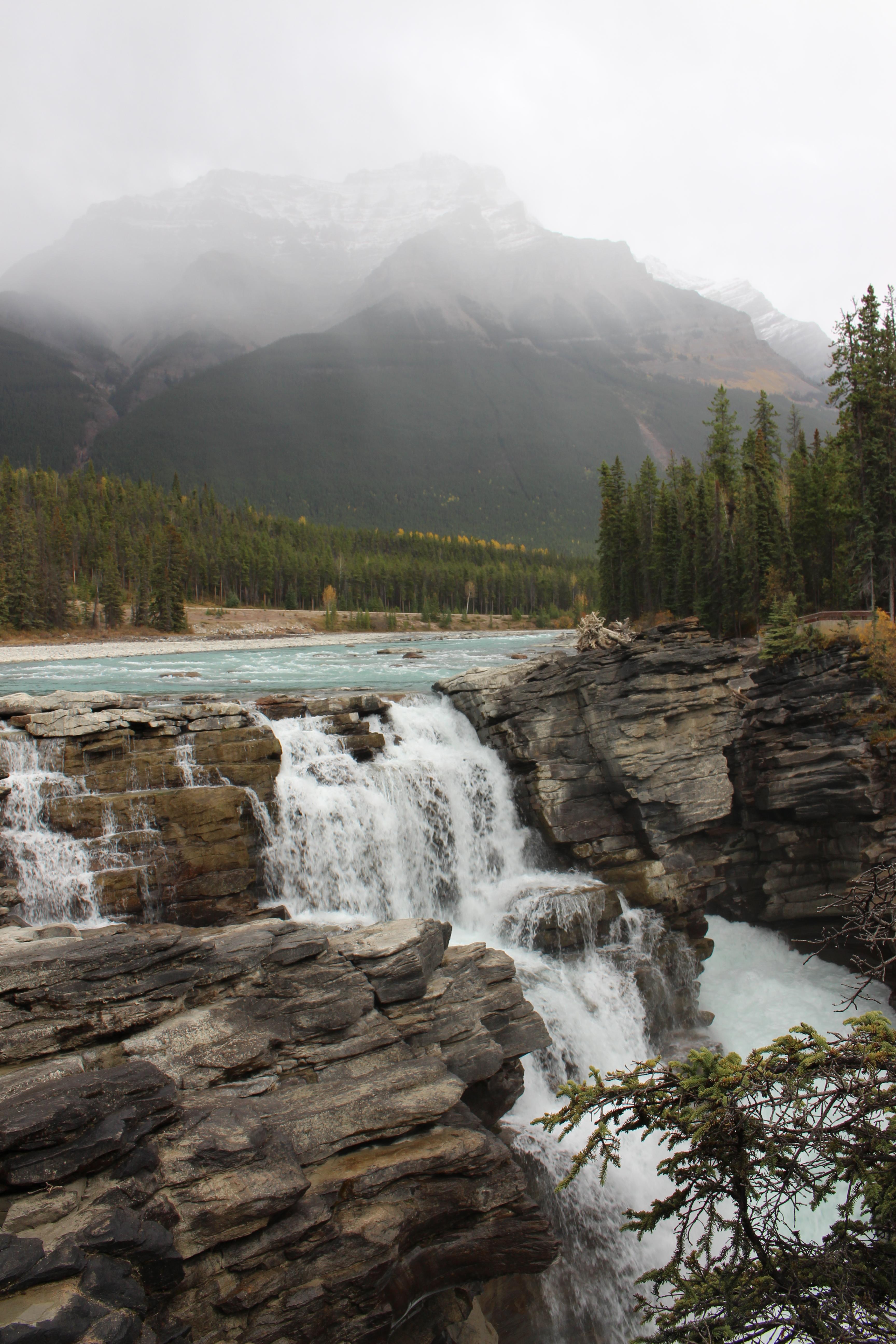Name: IMG_0315_zps6776e350.jpg
Views: 60
Size: 1.50 MB