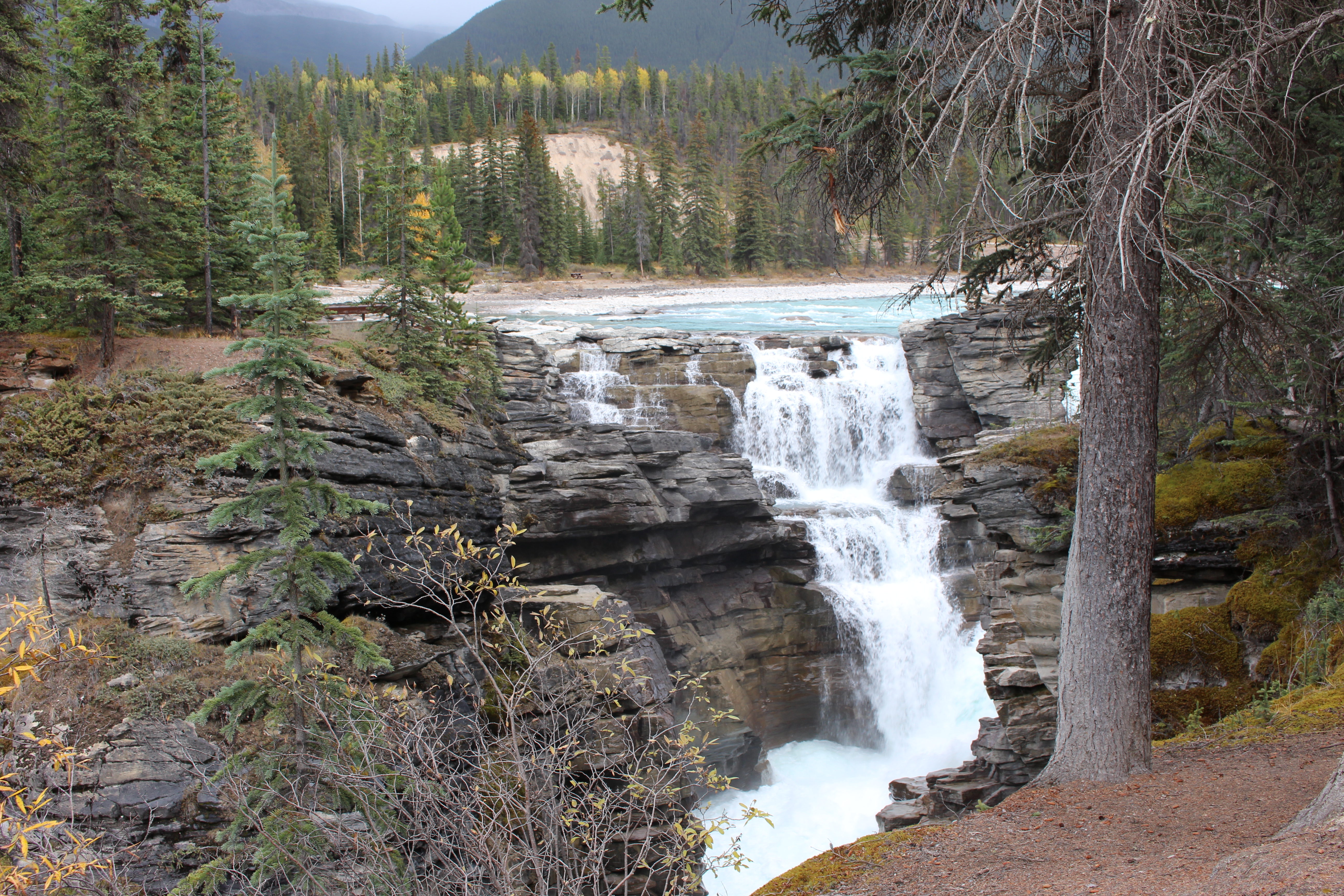 Name: IMG_0323_zpse6f0014b.jpg
Views: 62
Size: 9.92 MB