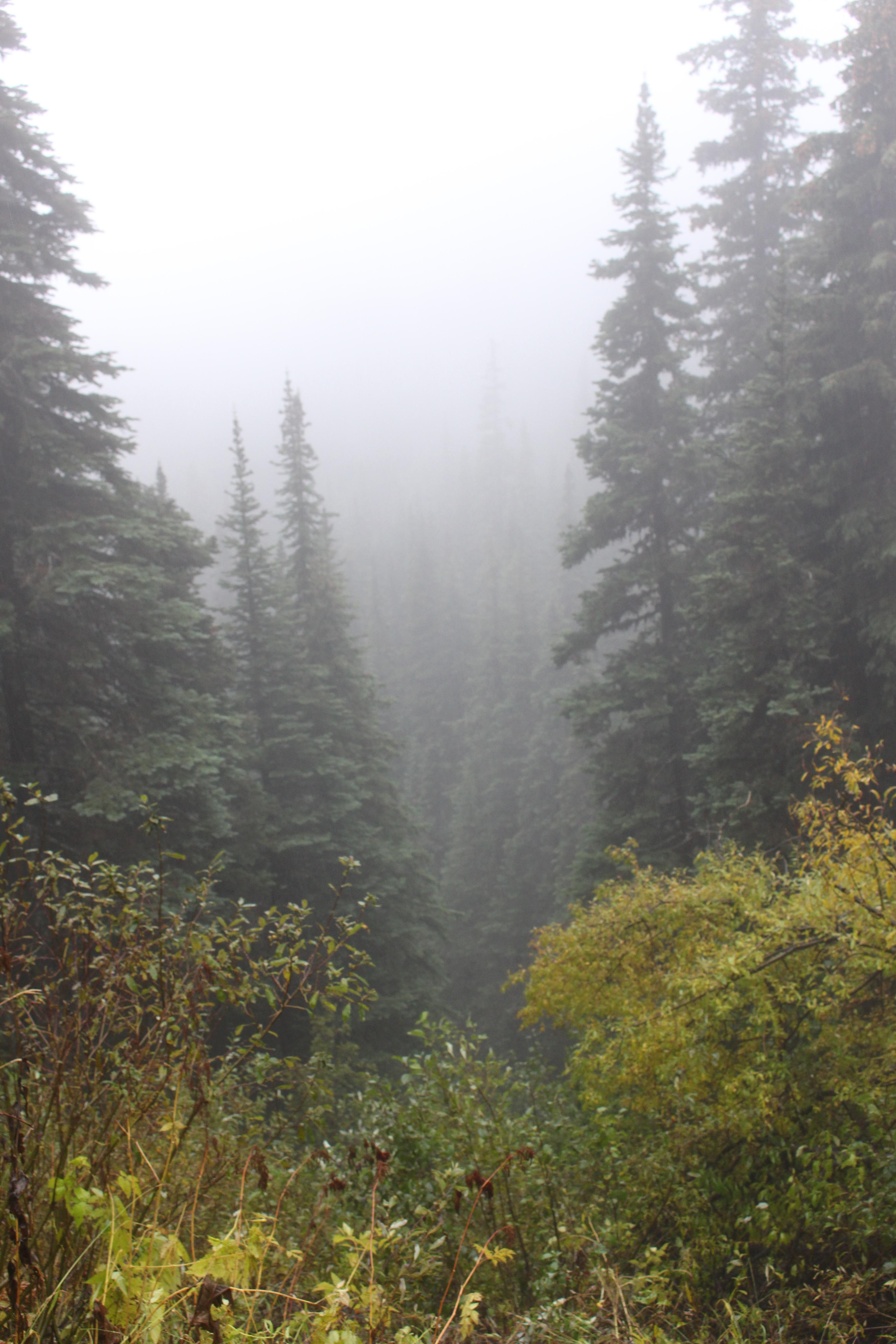 Name: IMG_0209_zpsf594d4f1.jpg
Views: 63
Size: 1.18 MB