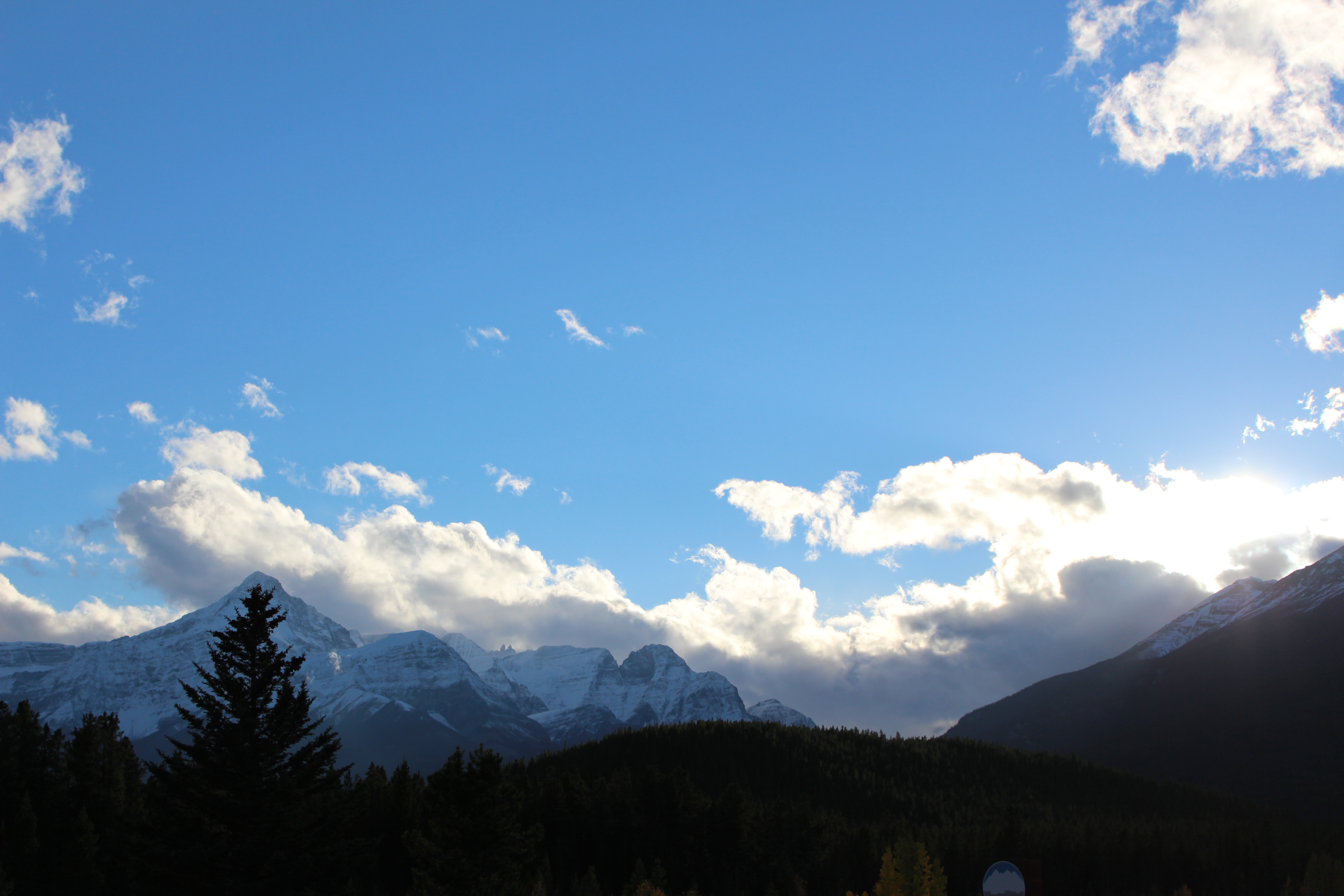 Name:  IMG_0400_zps1d44cd6a.jpg
Views: 58
Size:  4.15 MB