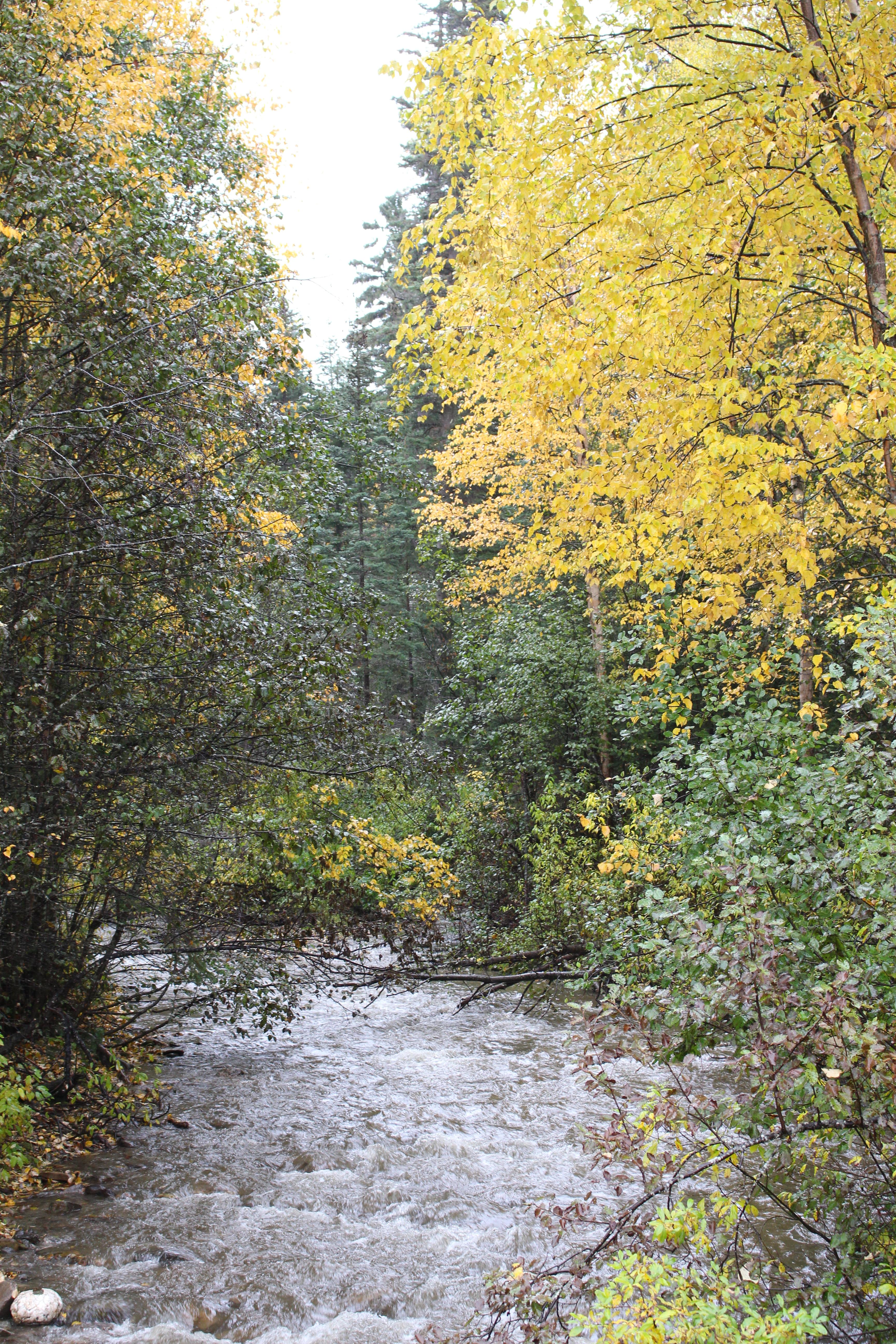 Name: IMG_0222_zps094c7014.jpg
Views: 64
Size: 3.64 MB