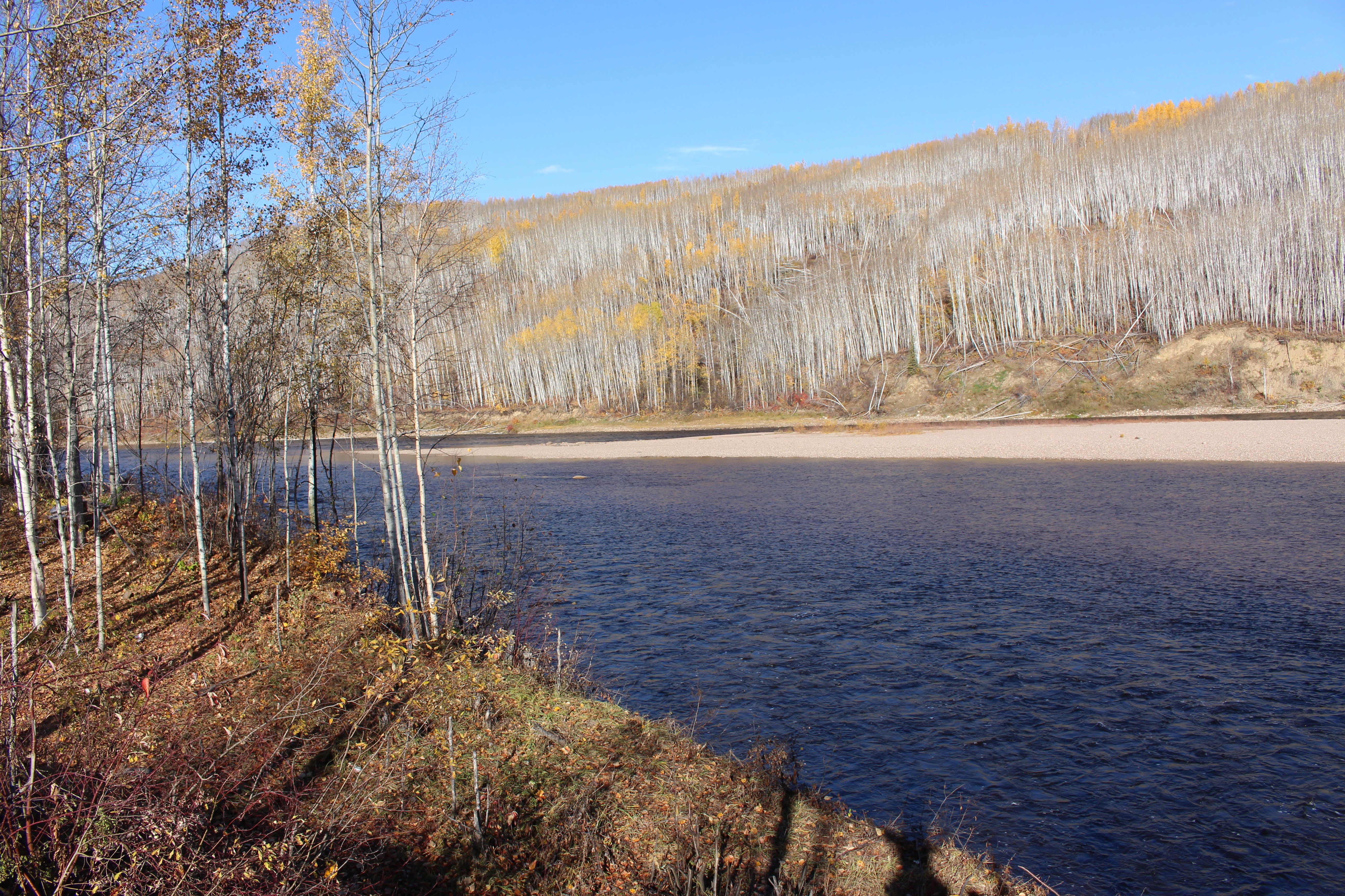 Name: IMG_0051_zps8d373724.jpg
Views: 68
Size: 11.43 MB