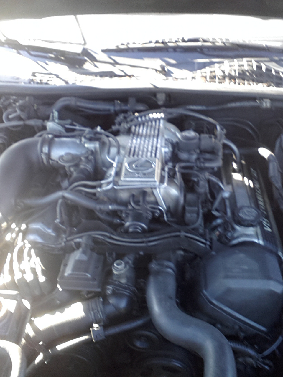 Name:  20131211_134316.jpg
Views: 122
Size:  365.9 KB