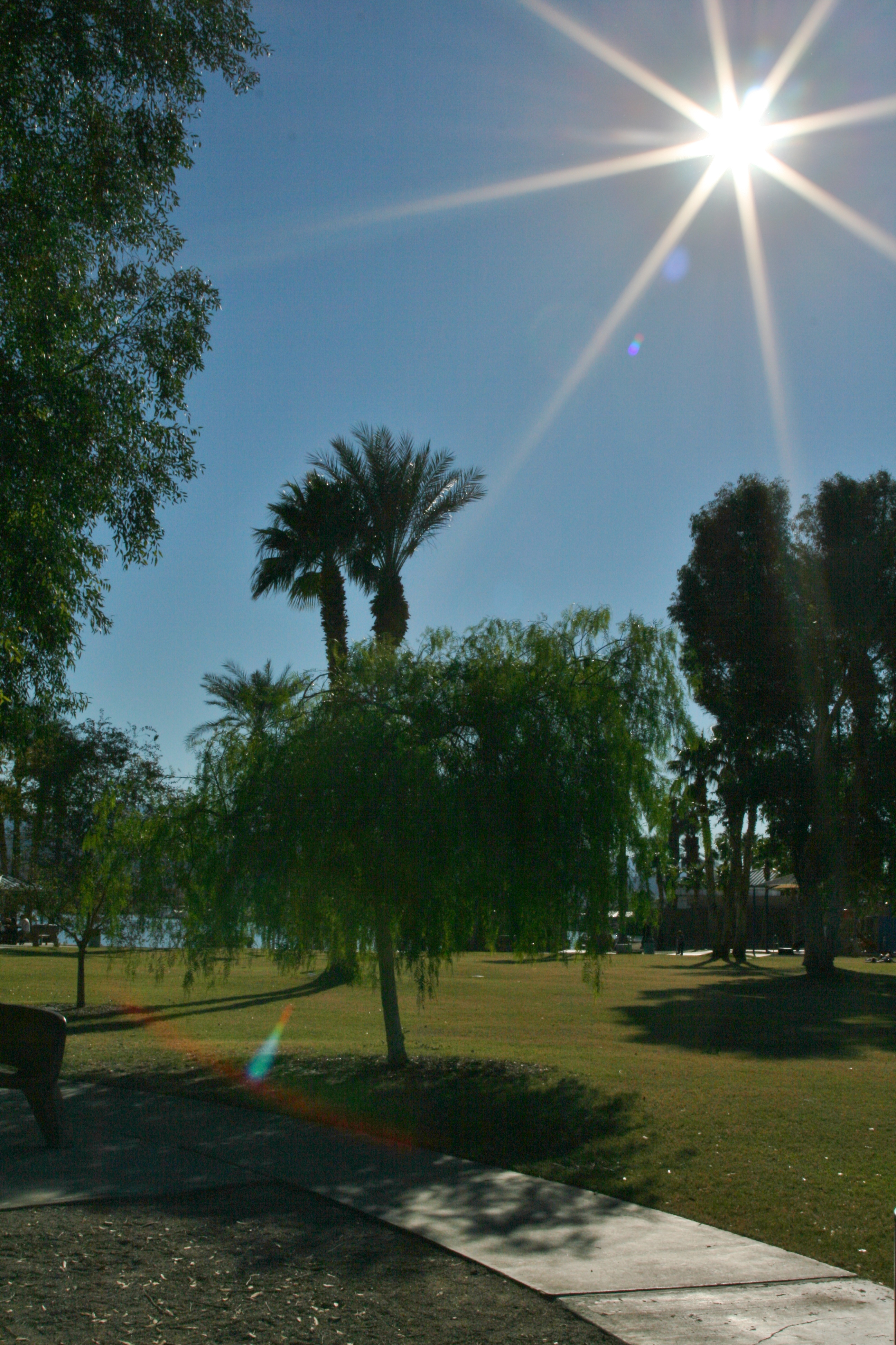 Name:  2013-12-01Havasu2021.jpg
Views: 101
Size:  4.13 MB