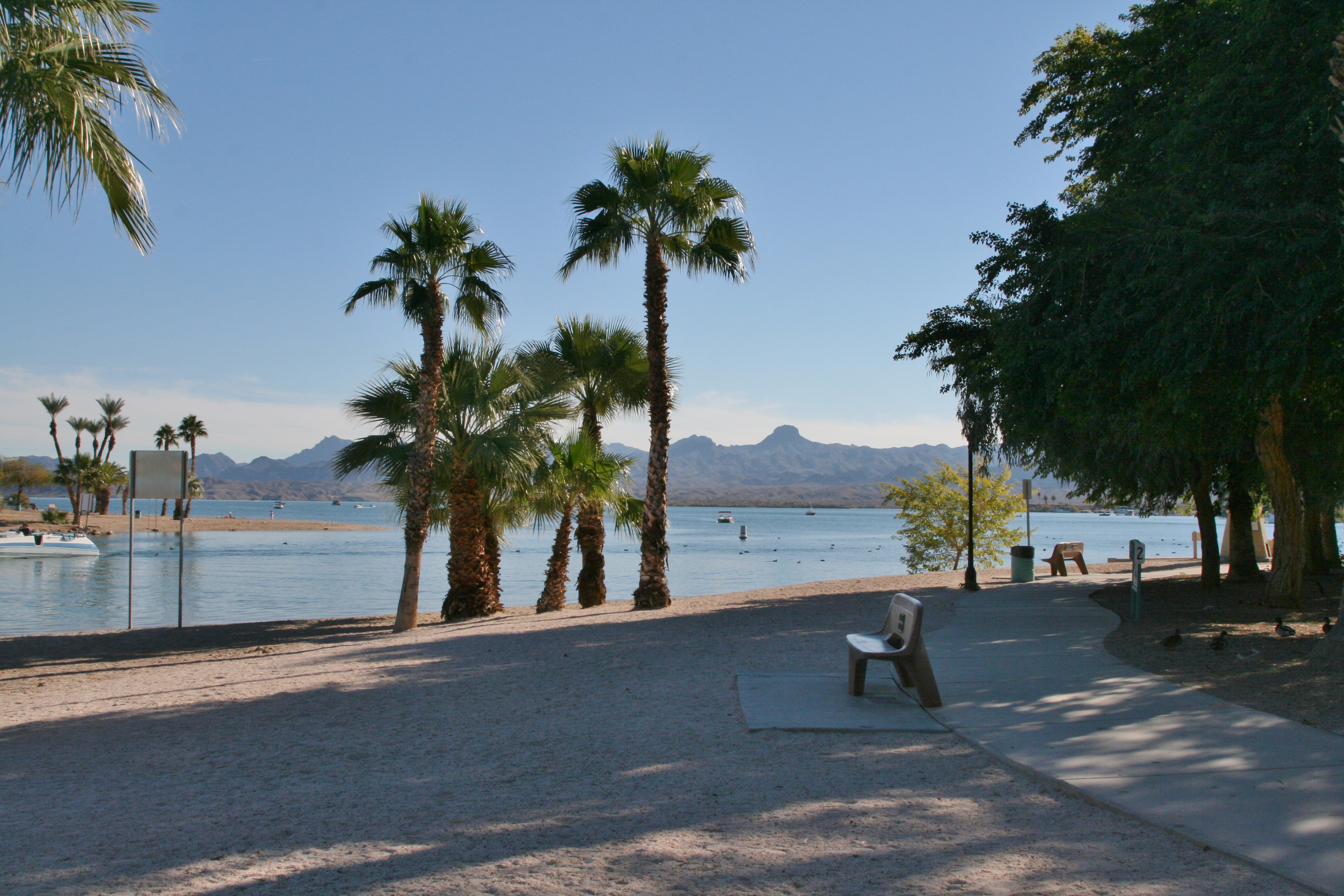 Name:  2013-12-01Havasu2028.jpg
Views: 169
Size:  4.10 MB