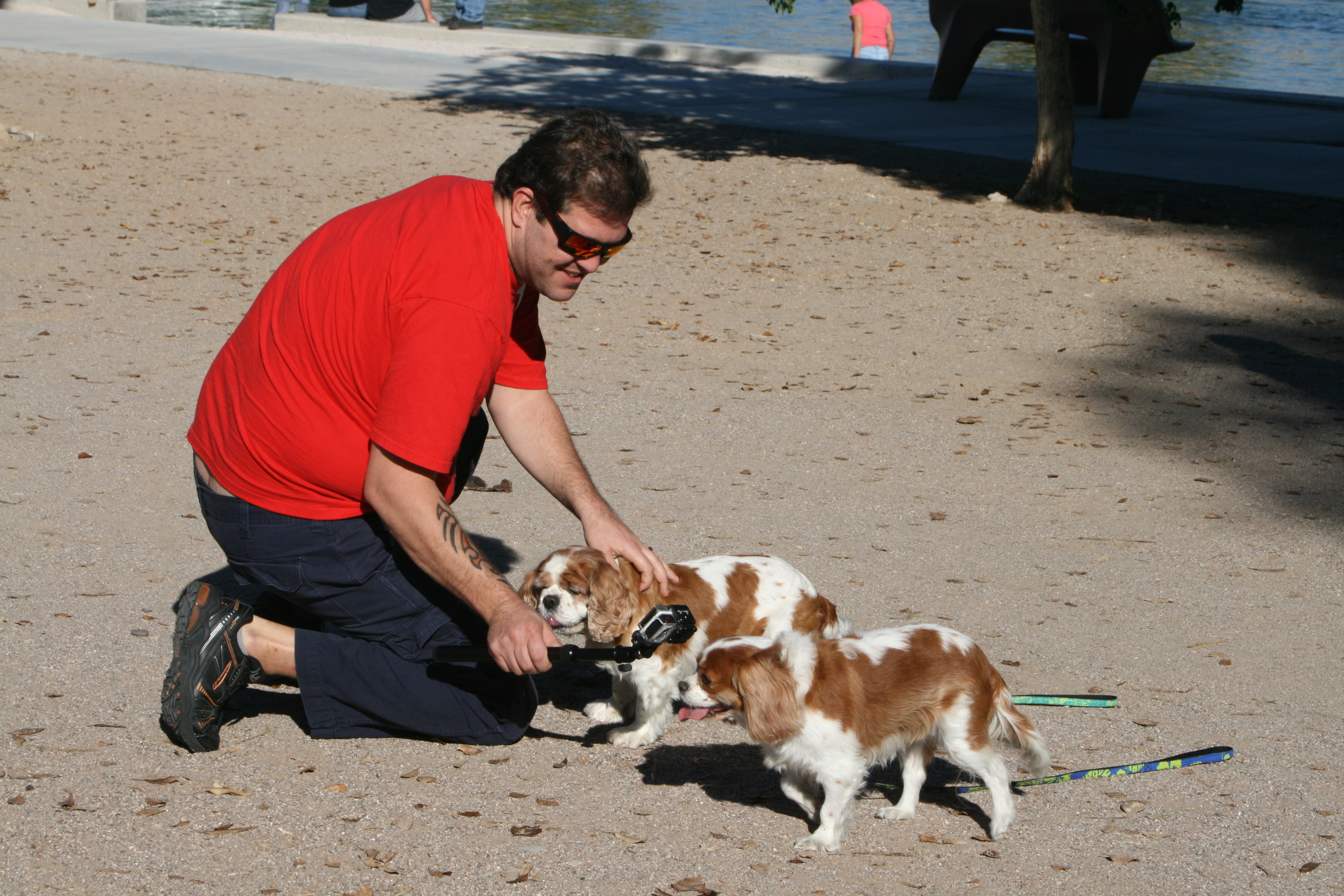 Name:  2013-12-01Havasu2013.jpg
Views: 144
Size:  4.49 MB