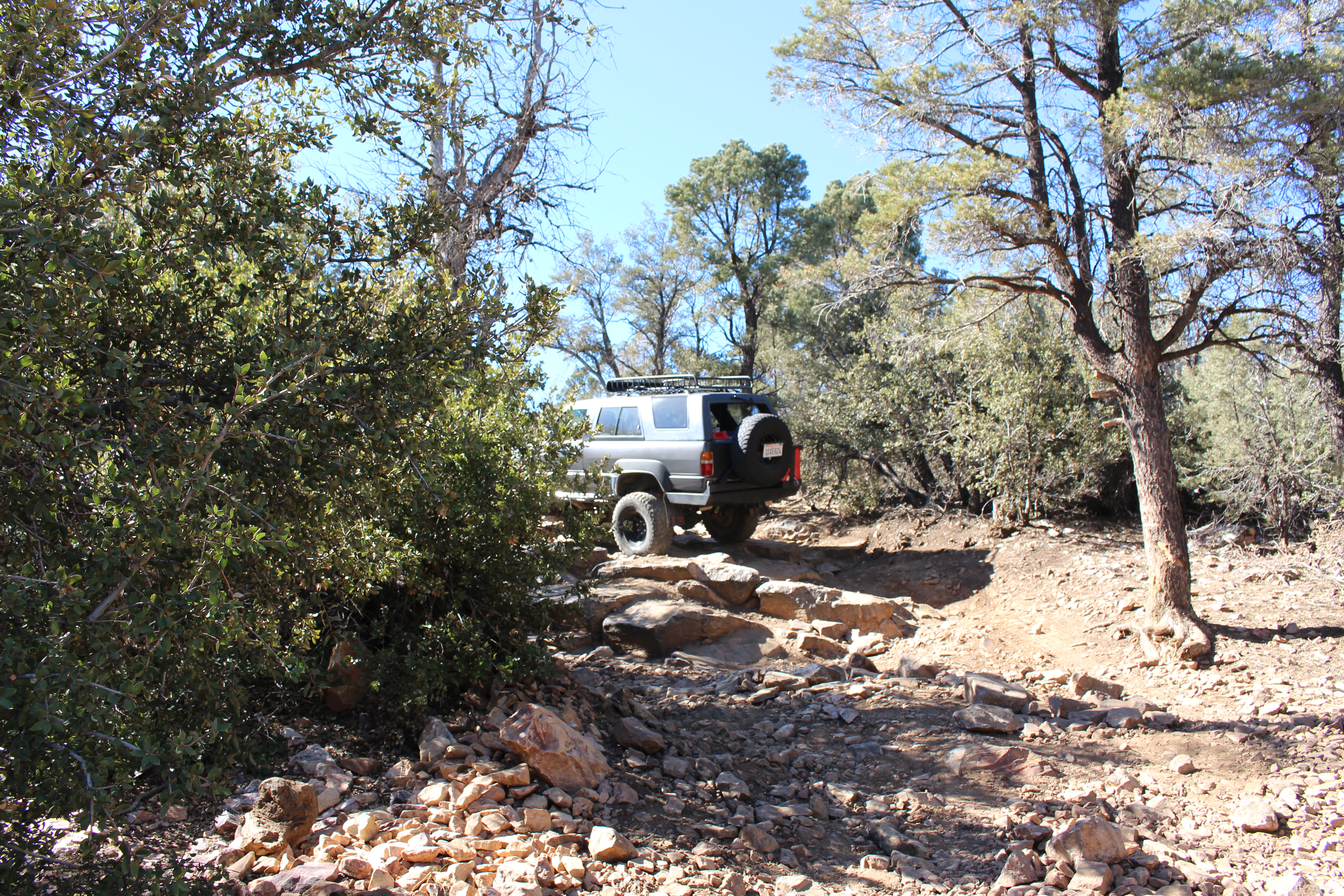 Name:  BigBearAndrewsPics025.jpg
Views: 224
Size:  10.92 MB