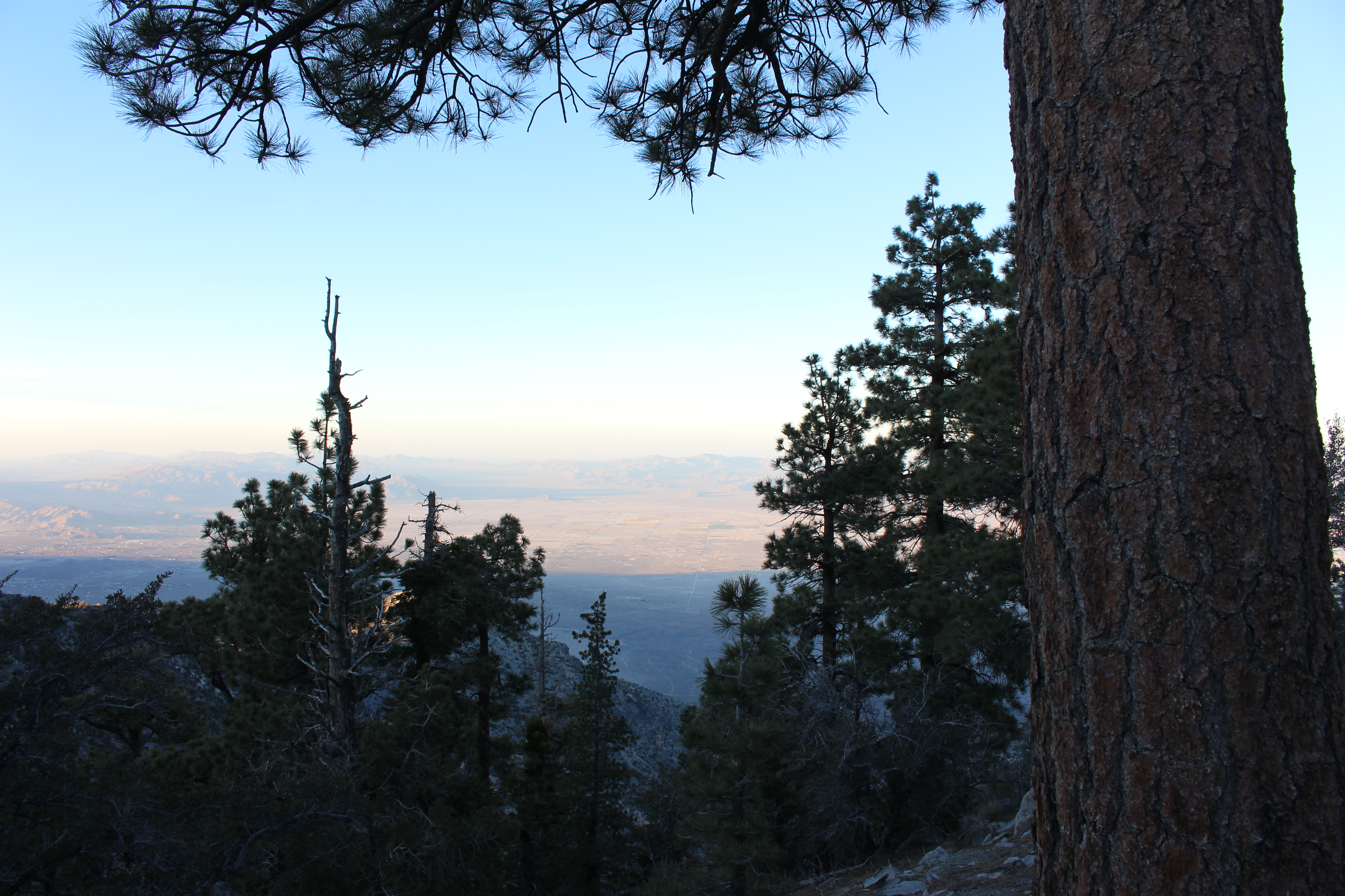 Name: BigBearAndrewsPics239.jpg
Views: 193
Size: 6.65 MB