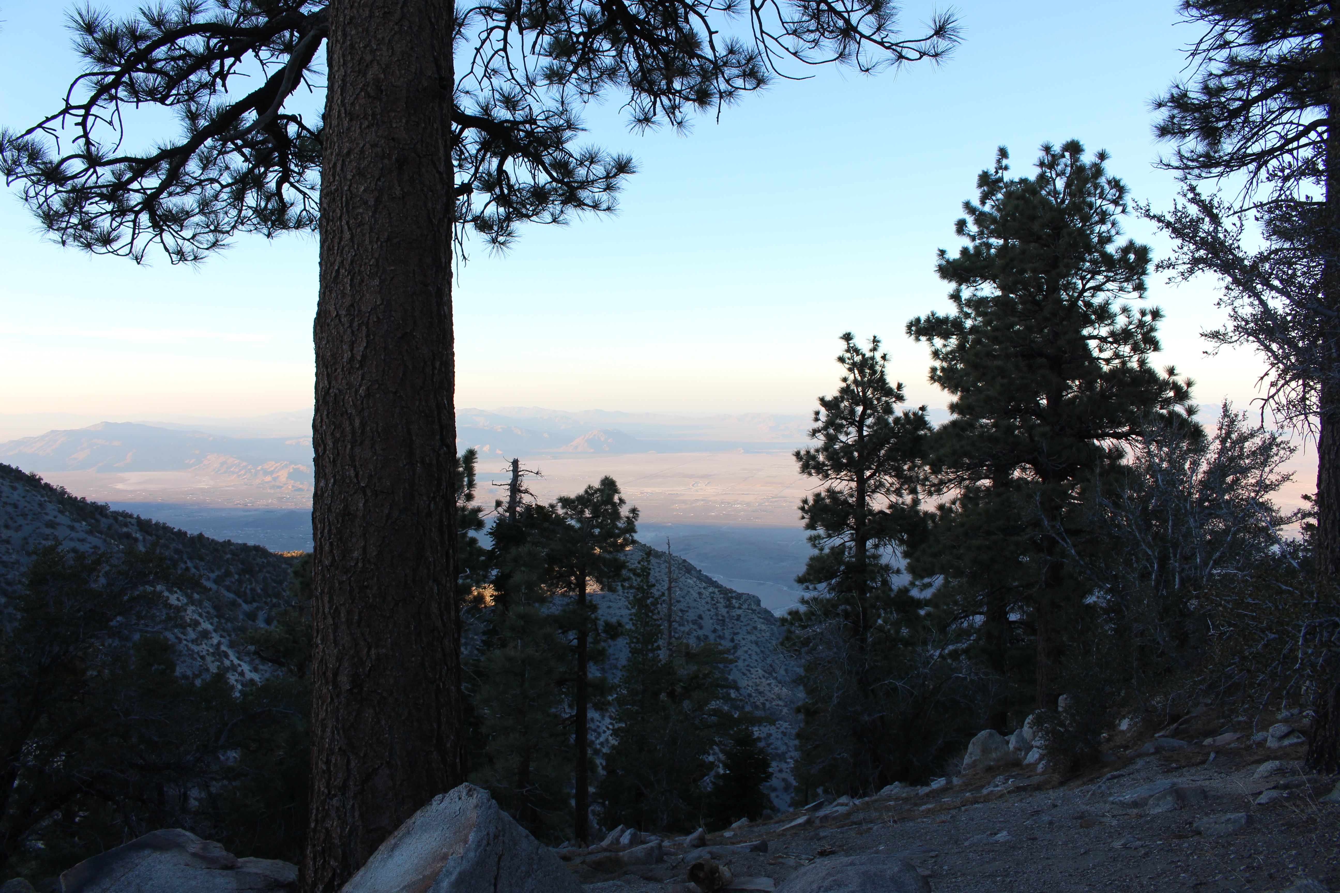 Name: BigBearAndrewsPics237.jpg
Views: 219
Size: 7.36 MB