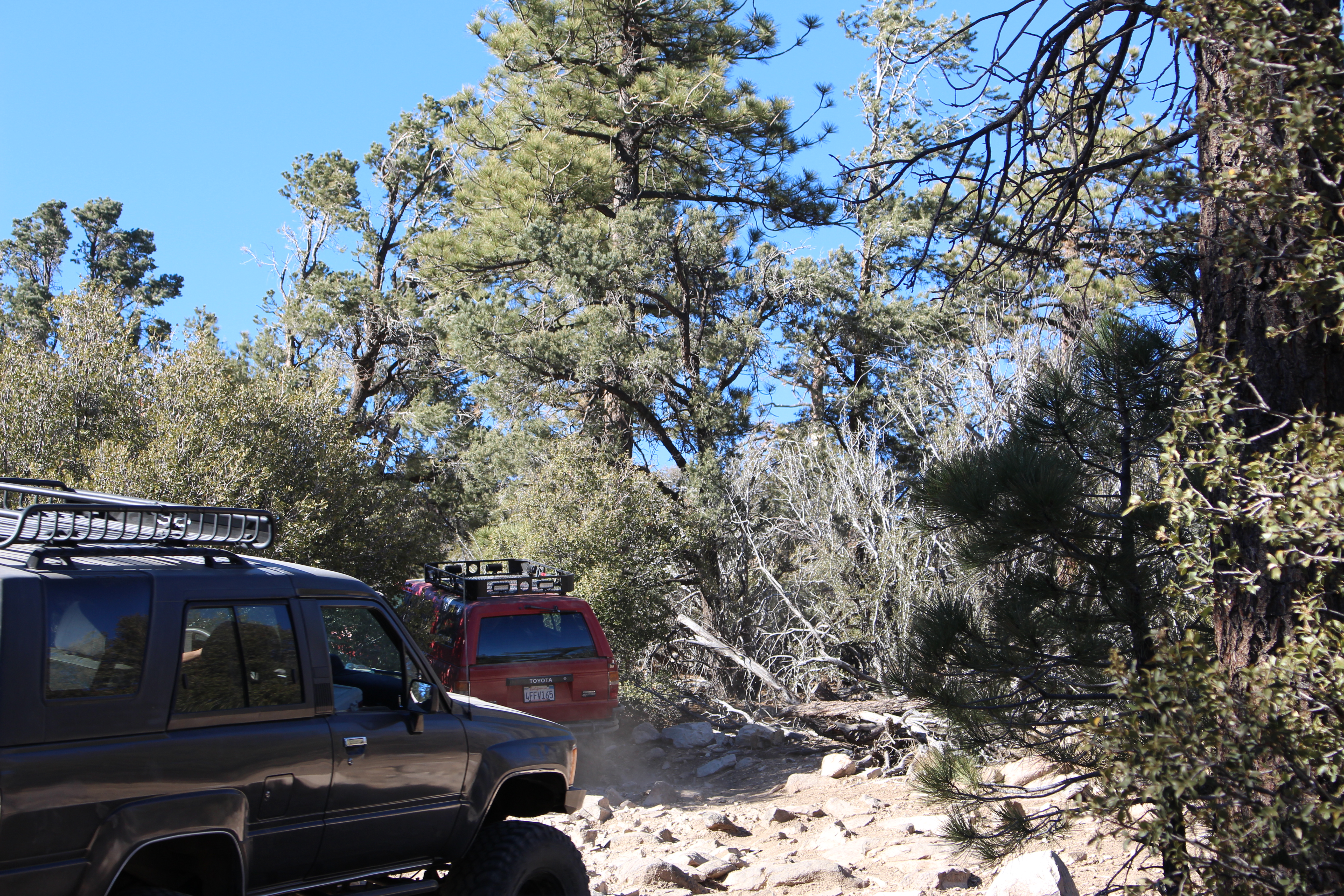 Name:  BigBearAndrewsPics184.jpg
Views: 128
Size:  10.21 MB