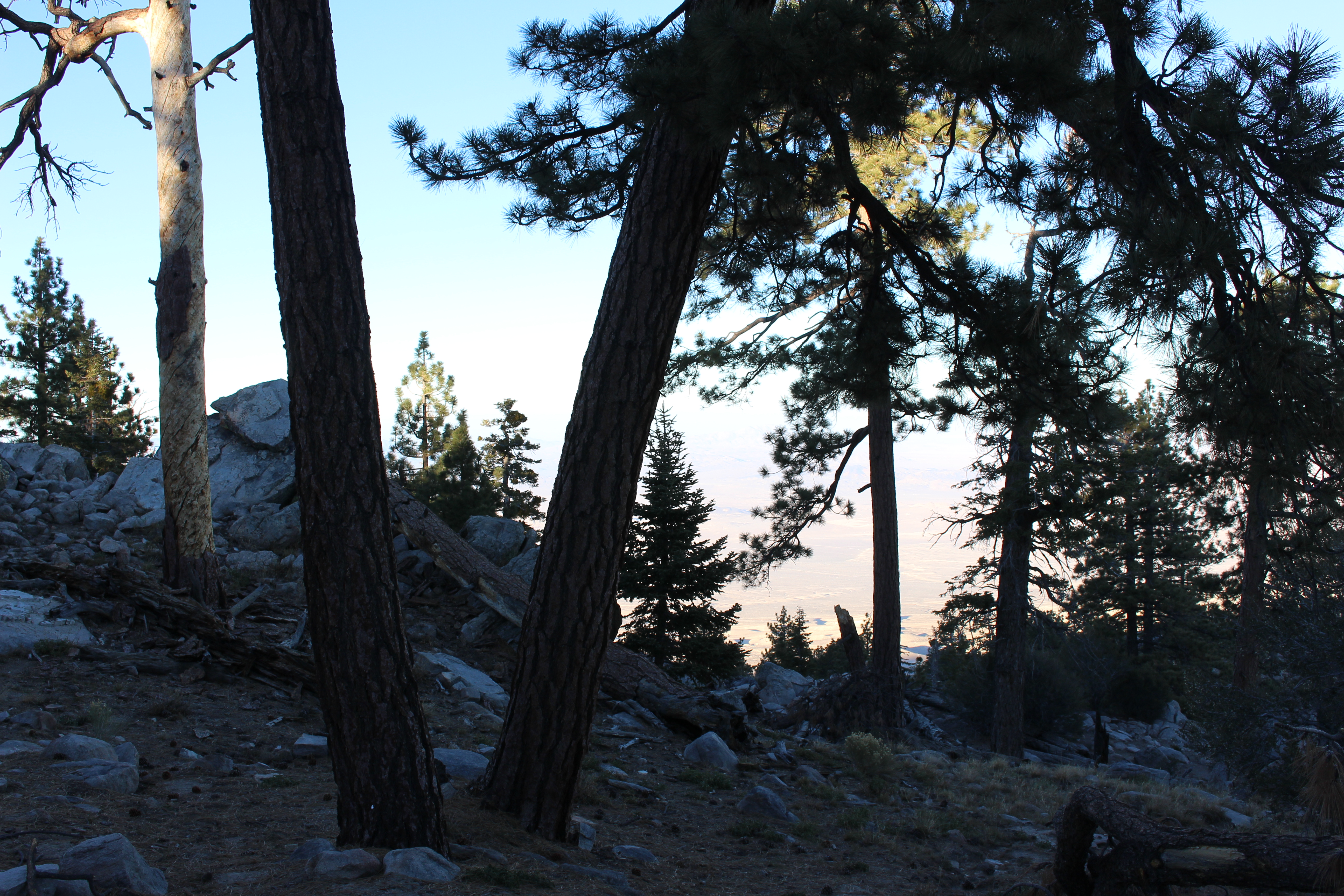 Name: BigBearAndrewsPics235.jpg
Views: 187
Size: 8.03 MB