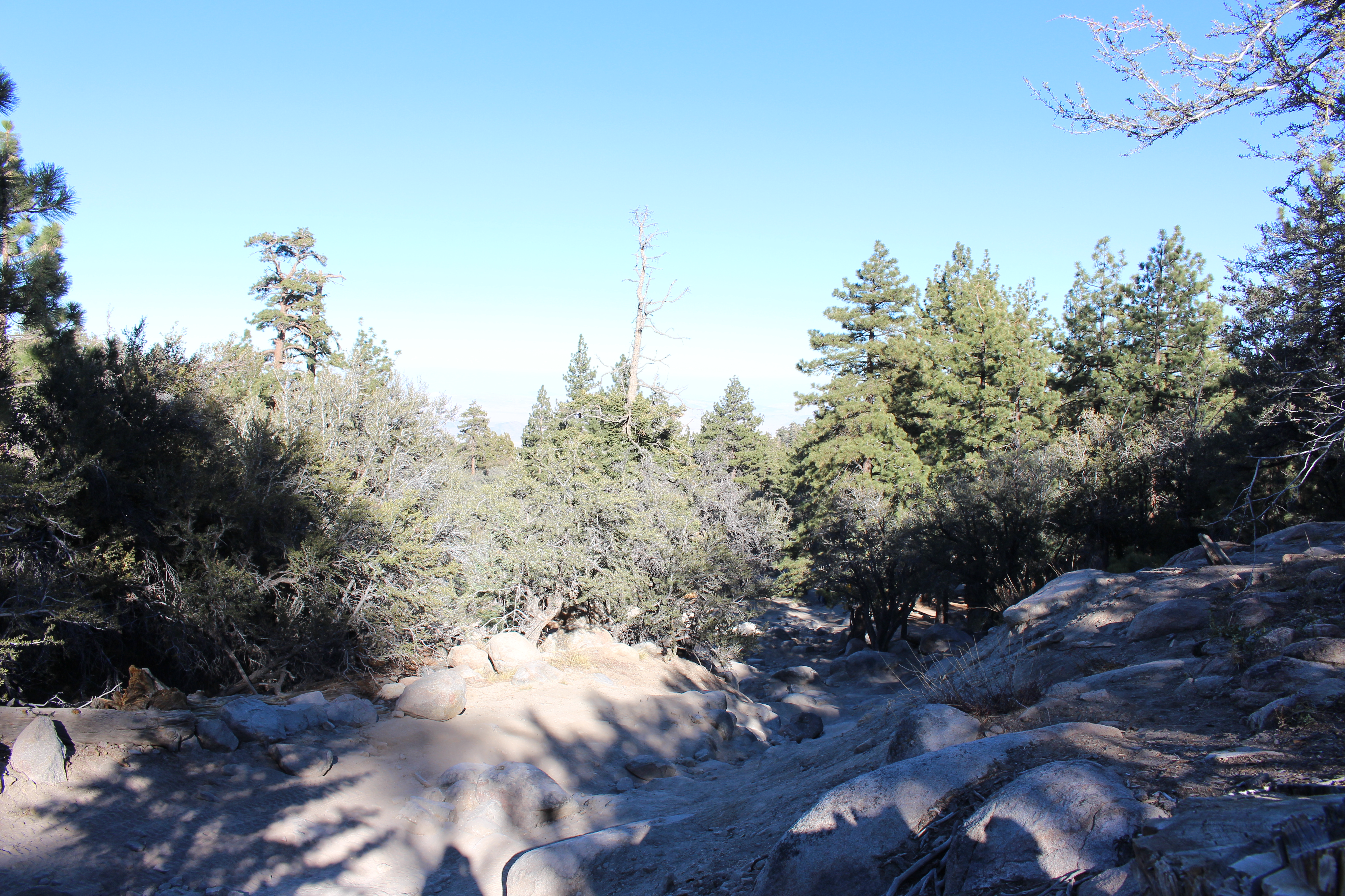 Name: BigBearAndrewsPics213.jpg
Views: 198
Size: 8.53 MB