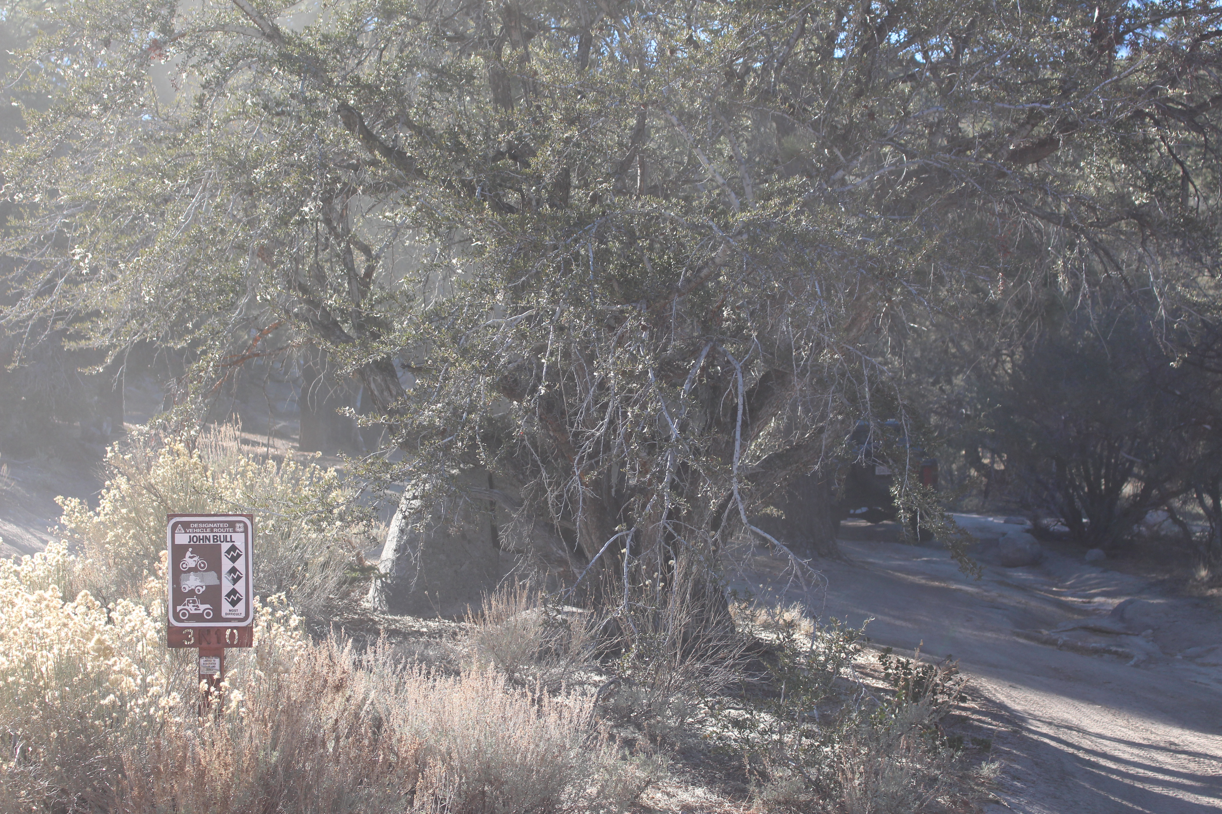 Name: BigBearAndrewsPics211.jpg
Views: 194
Size: 9.89 MB