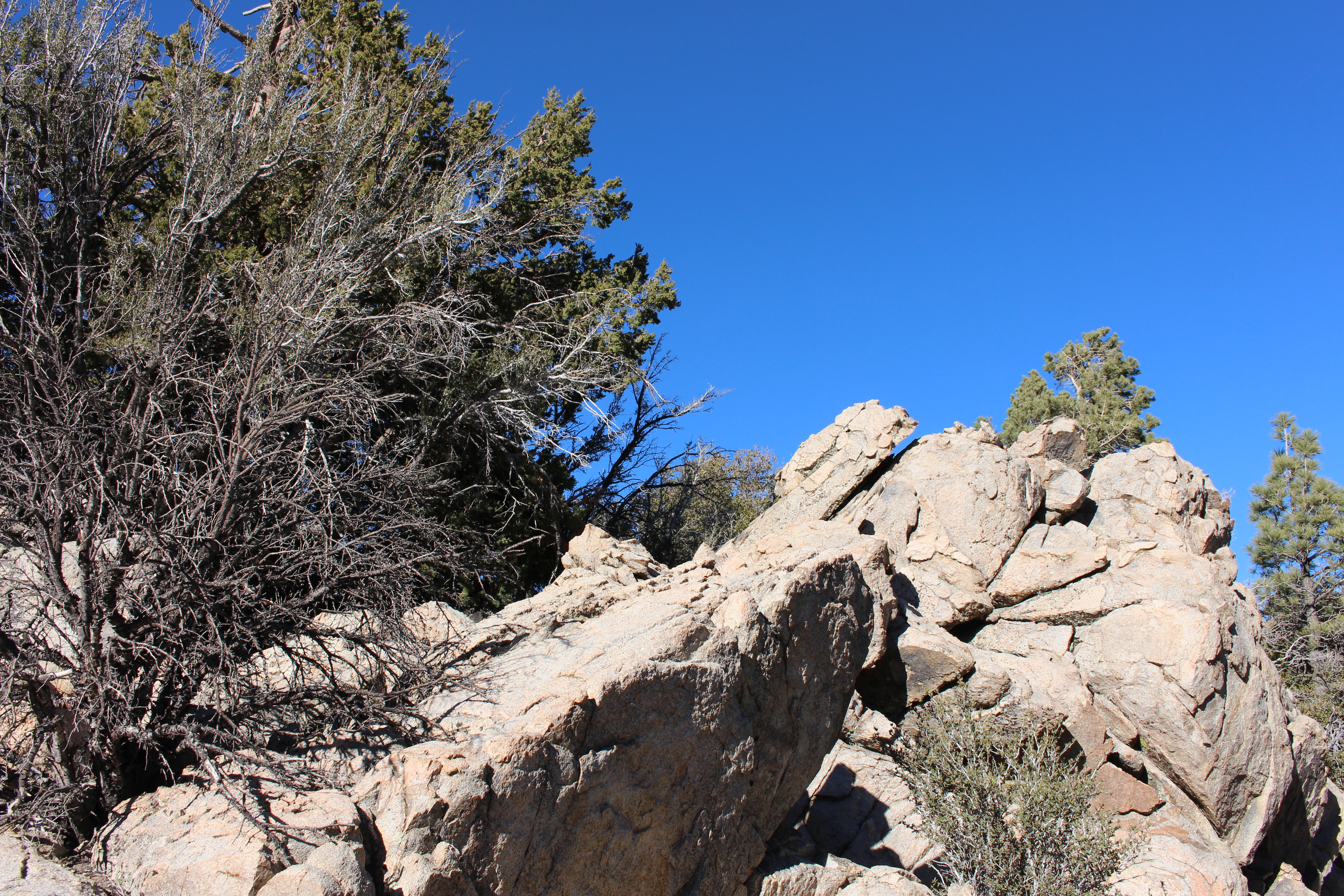 Name: BigBearAndrewsPics187.jpg
Views: 323
Size: 11.29 MB