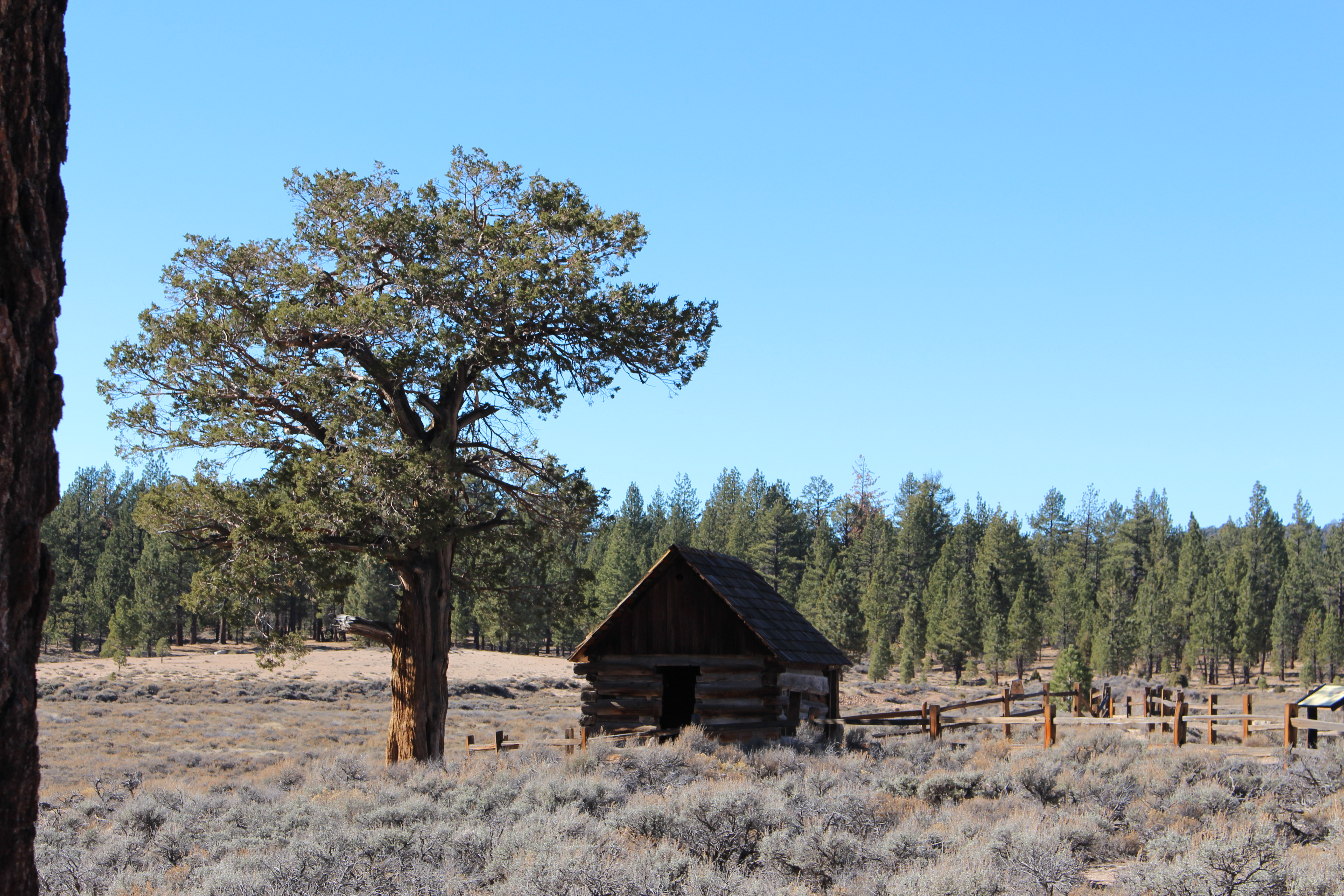 Name: BigBearAndrewsPics166.jpg
Views: 214
Size: 7.65 MB