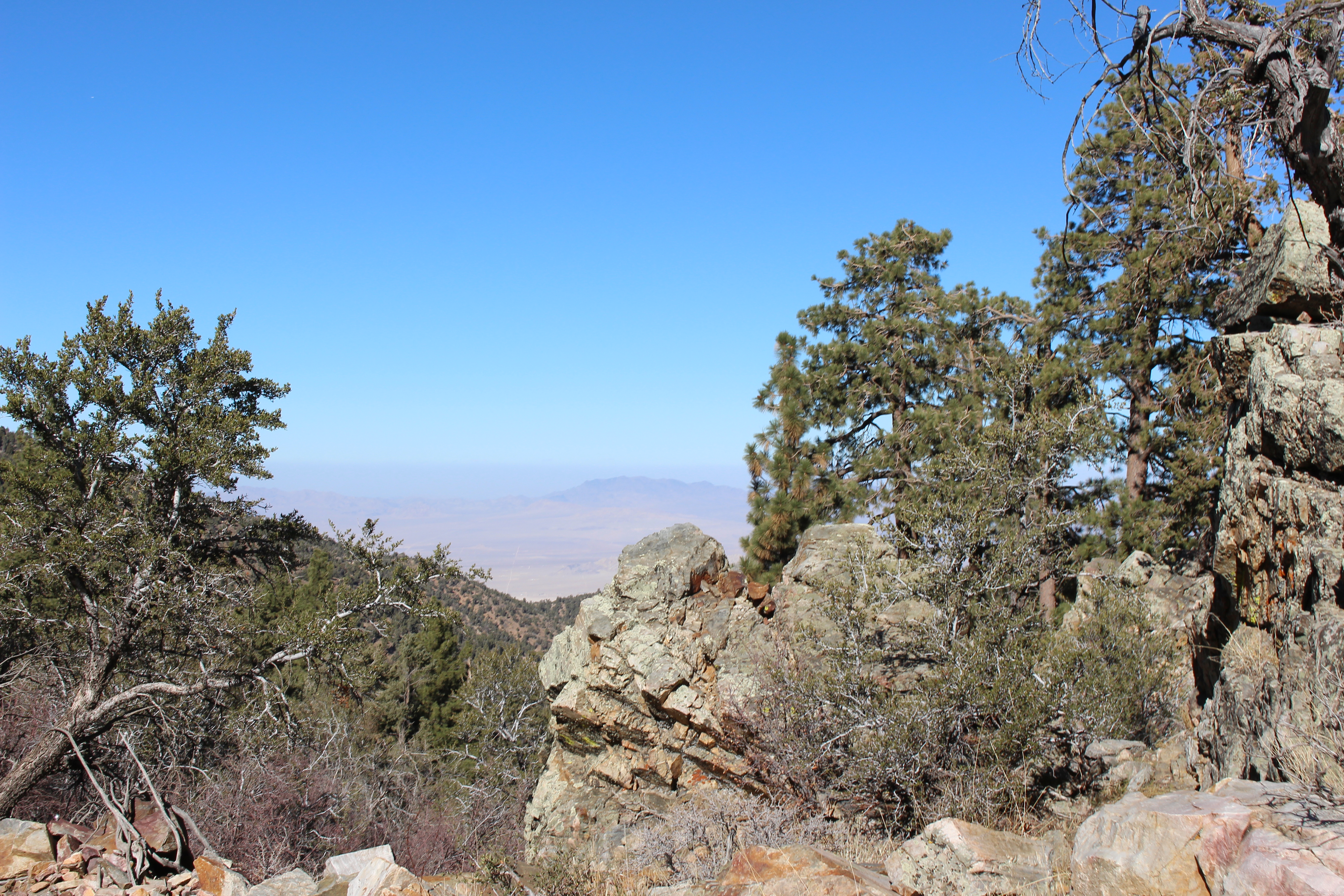 Name: BigBearAndrewsPics163.jpg
Views: 176
Size: 8.96 MB