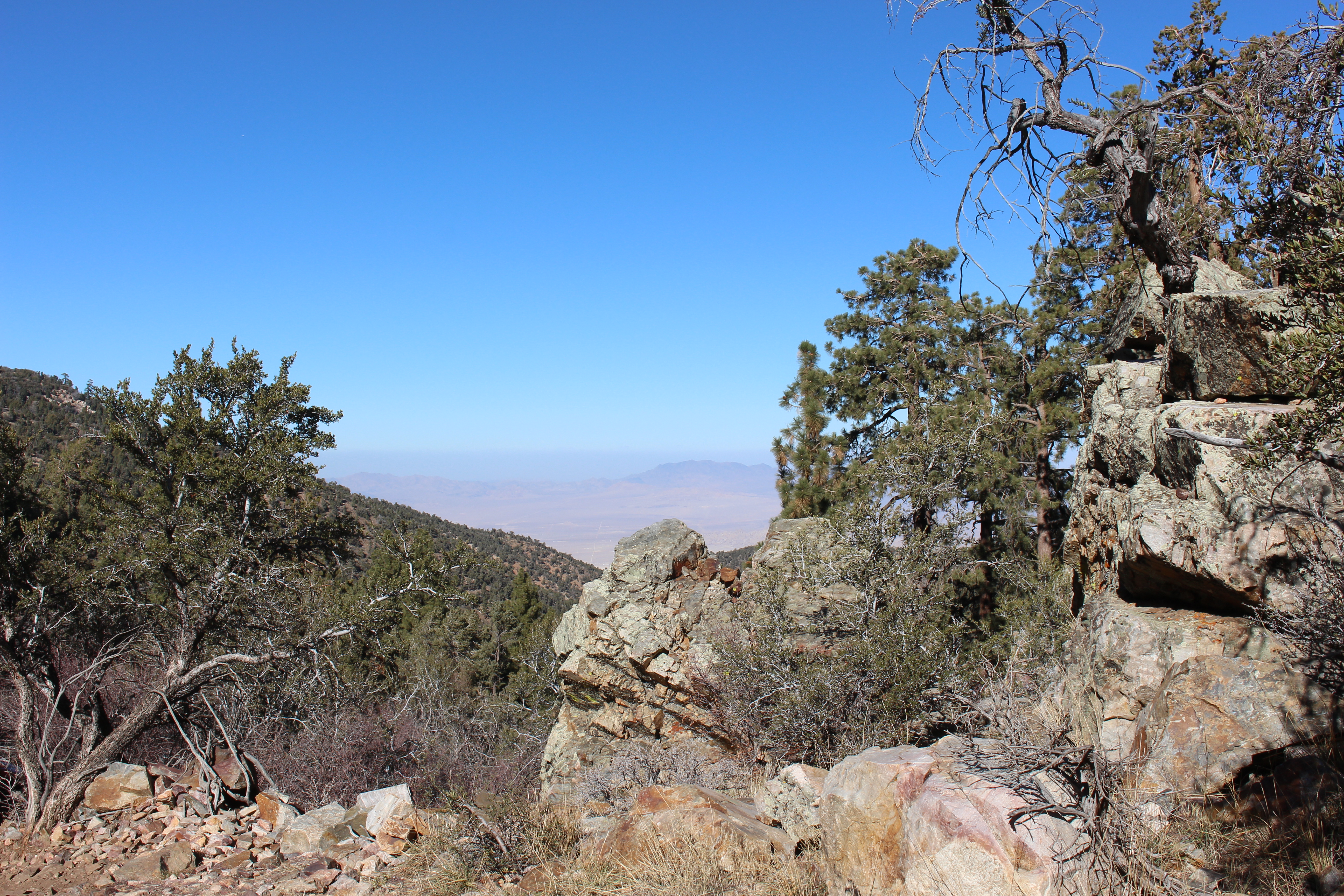 Name: BigBearAndrewsPics162.jpg
Views: 303
Size: 10.37 MB