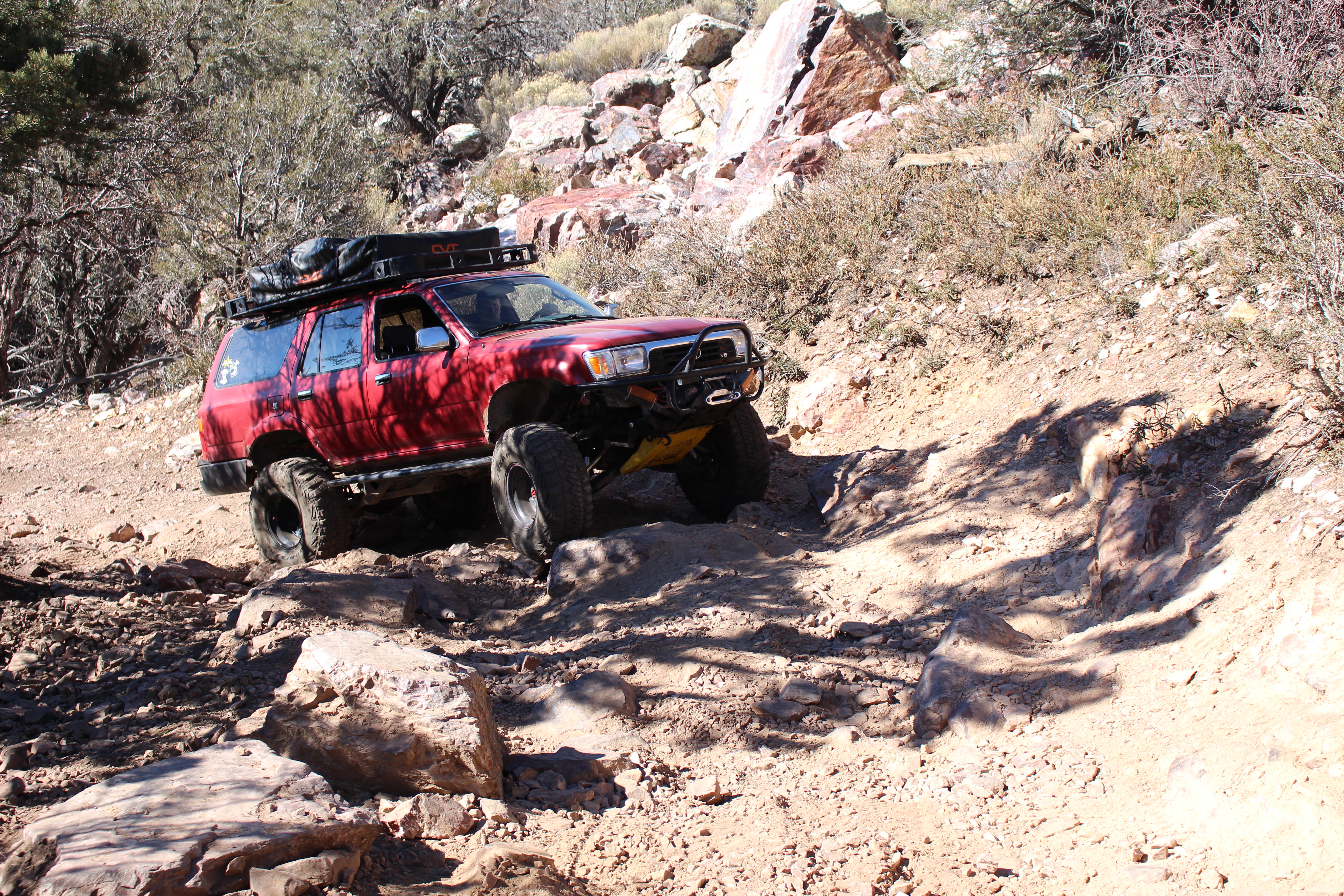 Name: BigBearAndrewsPics160.jpg
Views: 304
Size: 11.97 MB
