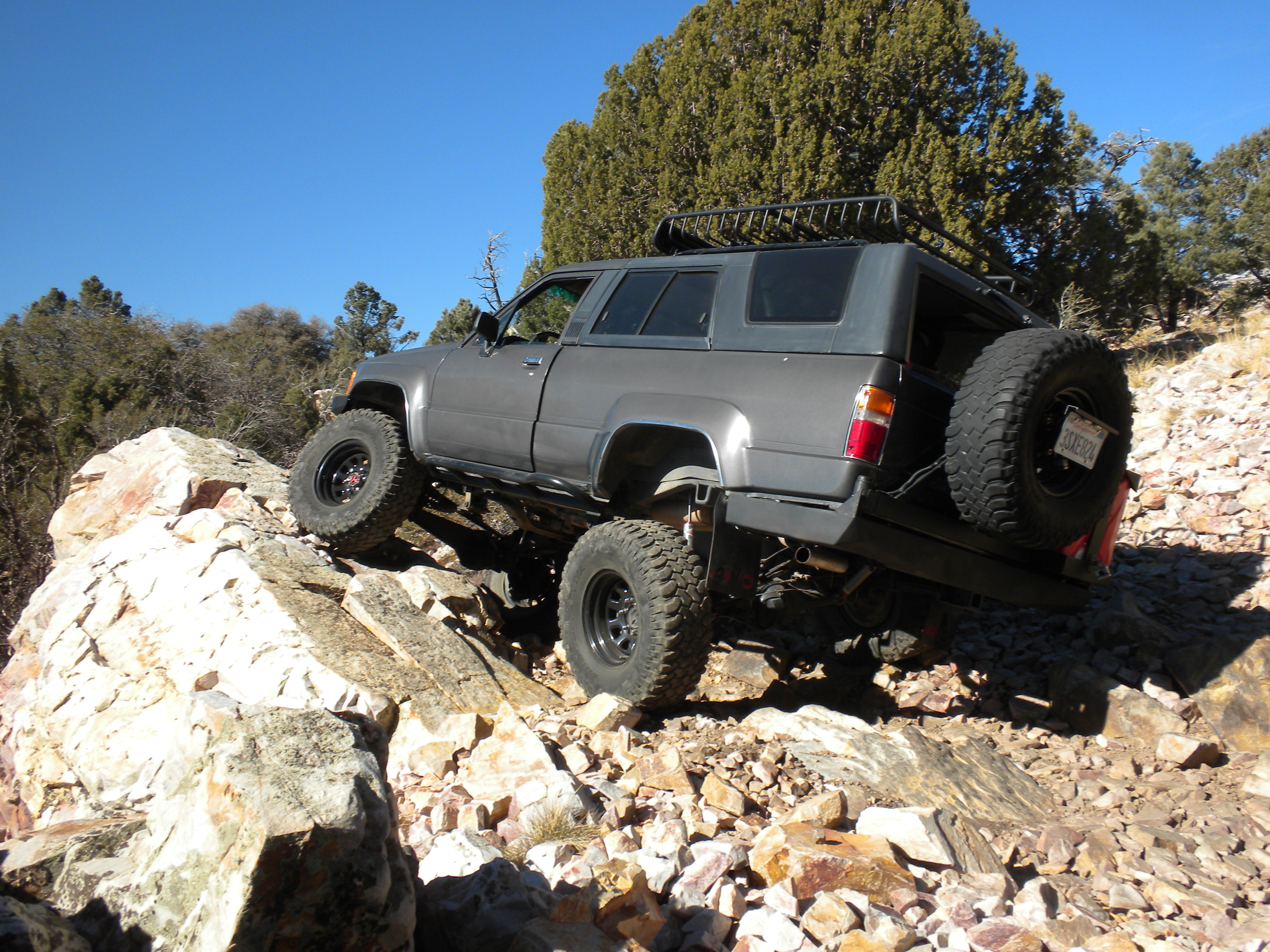 Name:  BigBearRichardsPics085.jpg
Views: 167
Size:  2.47 MB