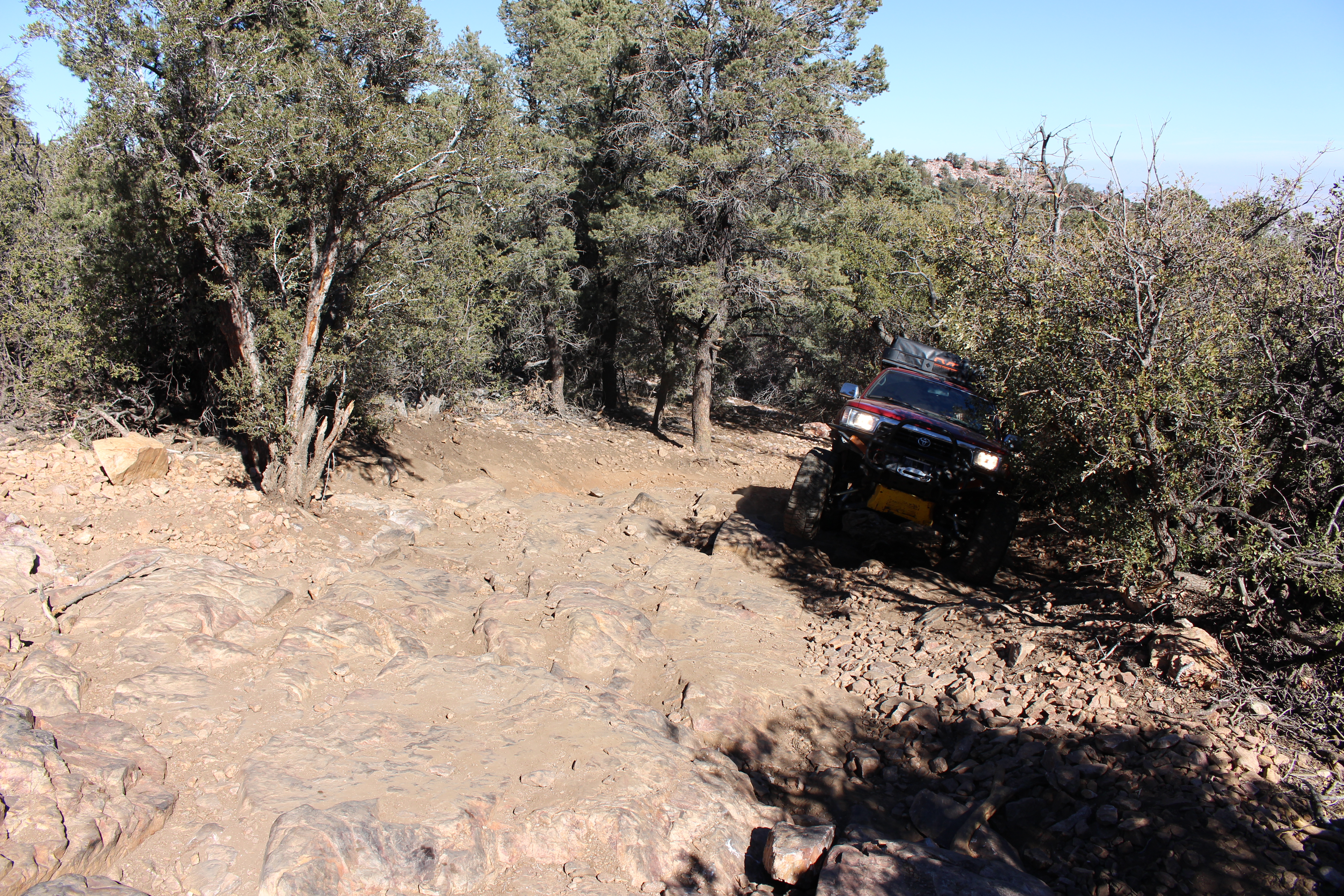 Name: BigBearAndrewsPics062.jpg
Views: 303
Size: 12.11 MB