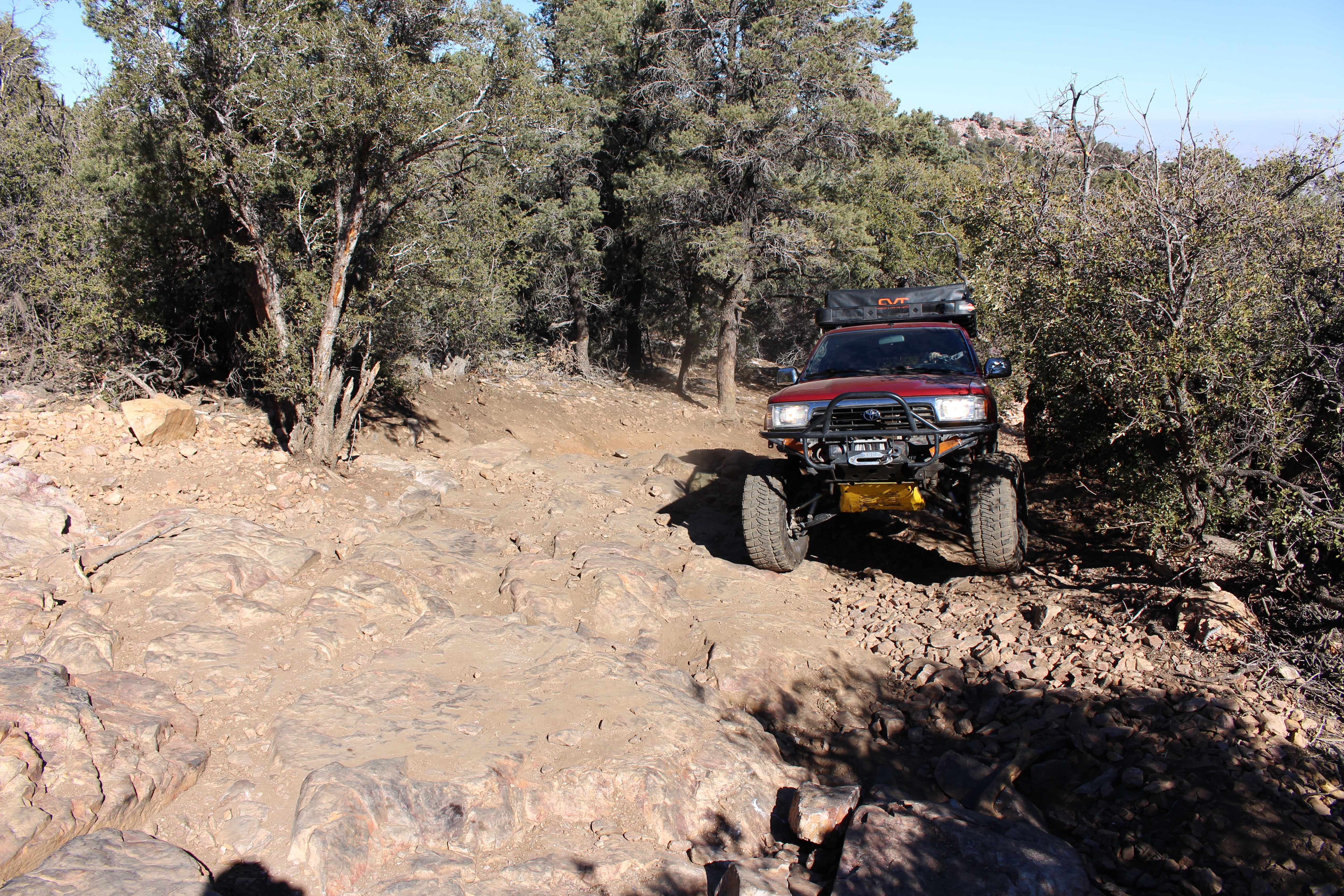 Name: BigBearAndrewsPics065.jpg
Views: 290
Size: 11.78 MB