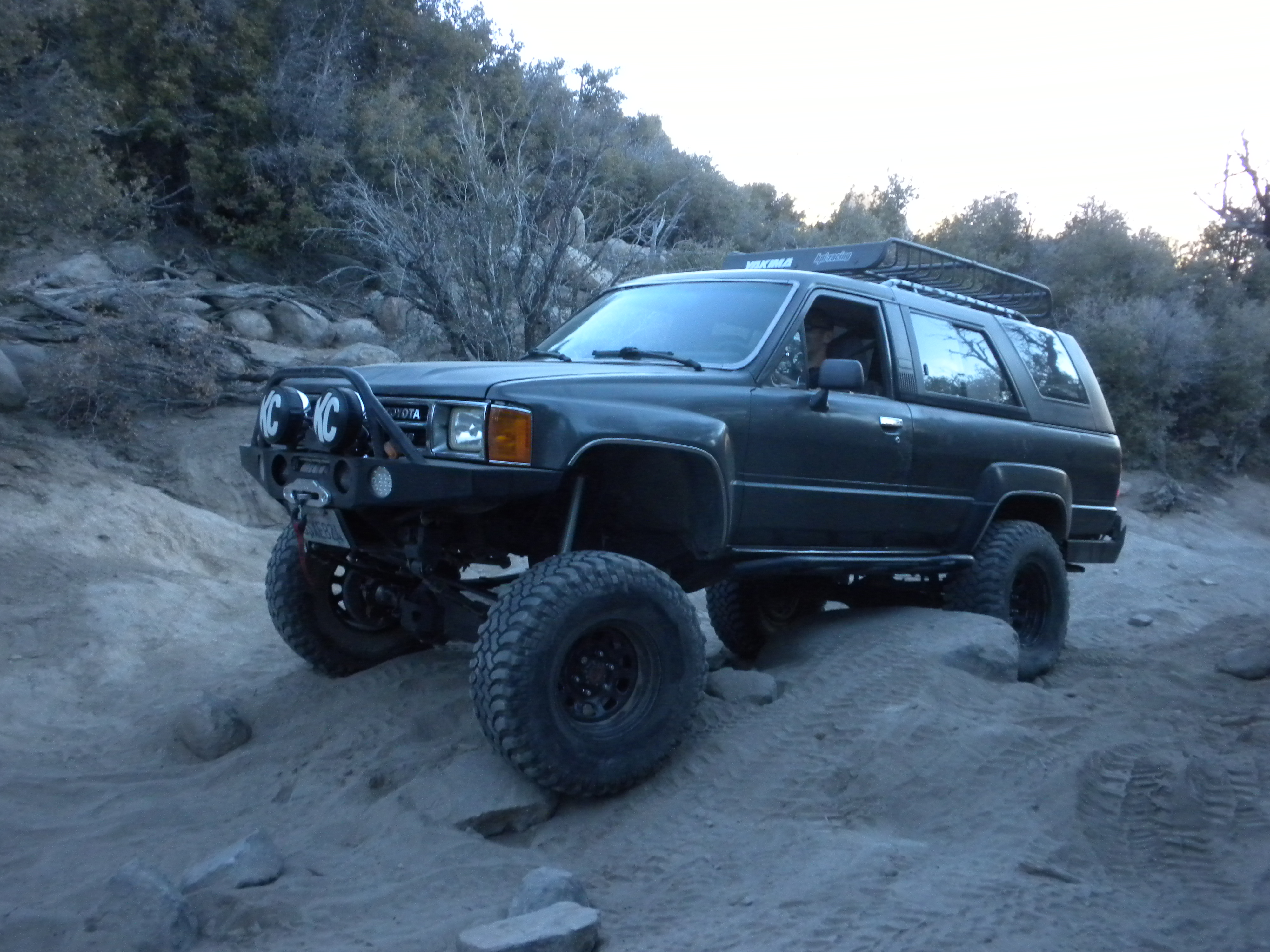 Name:  BigBearRichardsPics124.jpg
Views: 145
Size:  2.49 MB