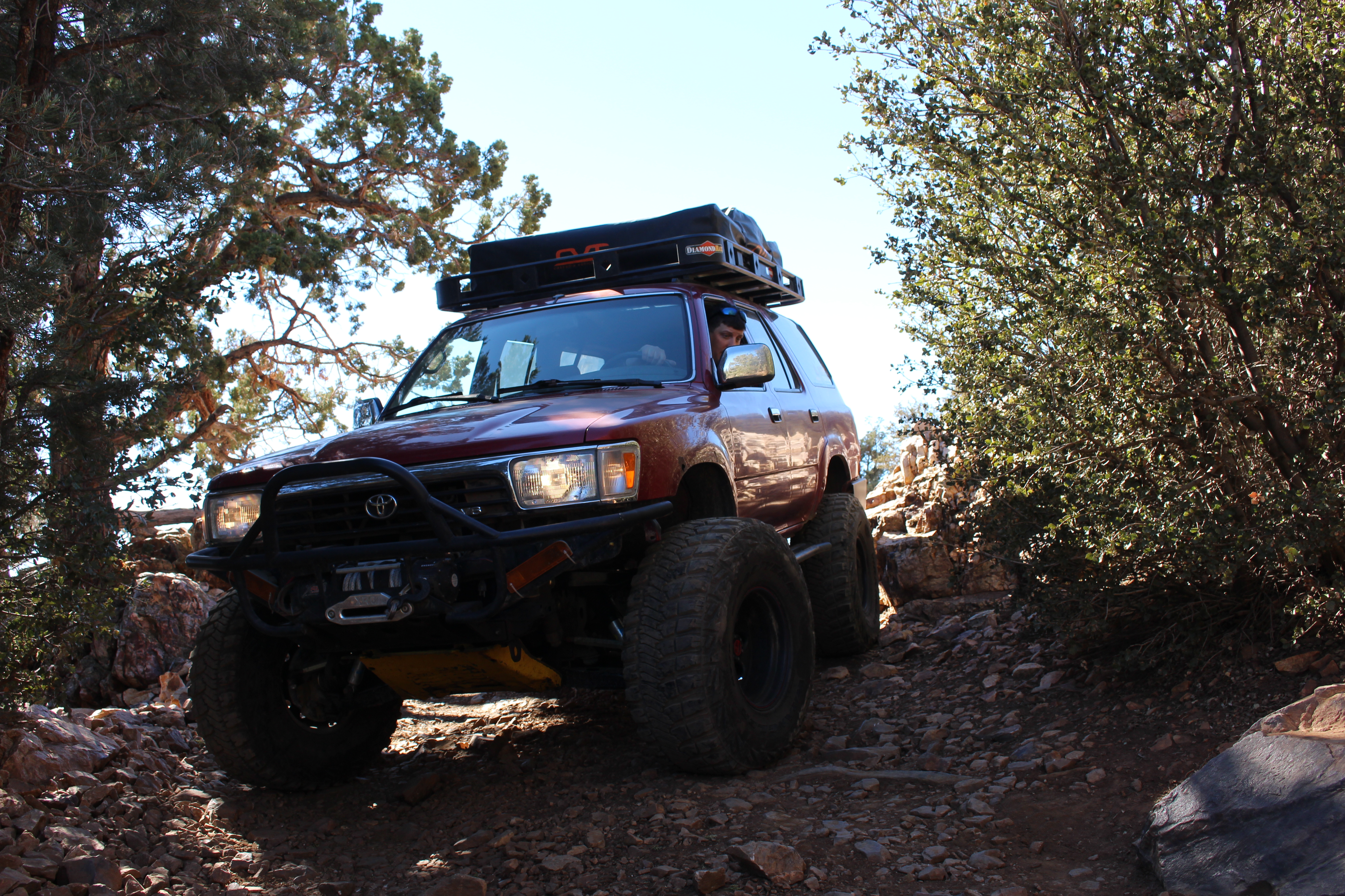 Name: BigBearAndrewsPics018.jpg
Views: 195
Size: 8.21 MB