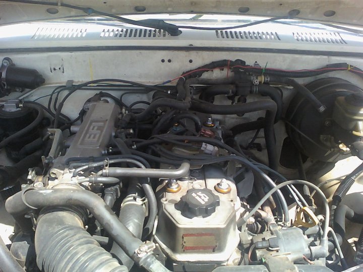 Name:  photo1.jpg
Views: 1233
Size:  134.7 KB