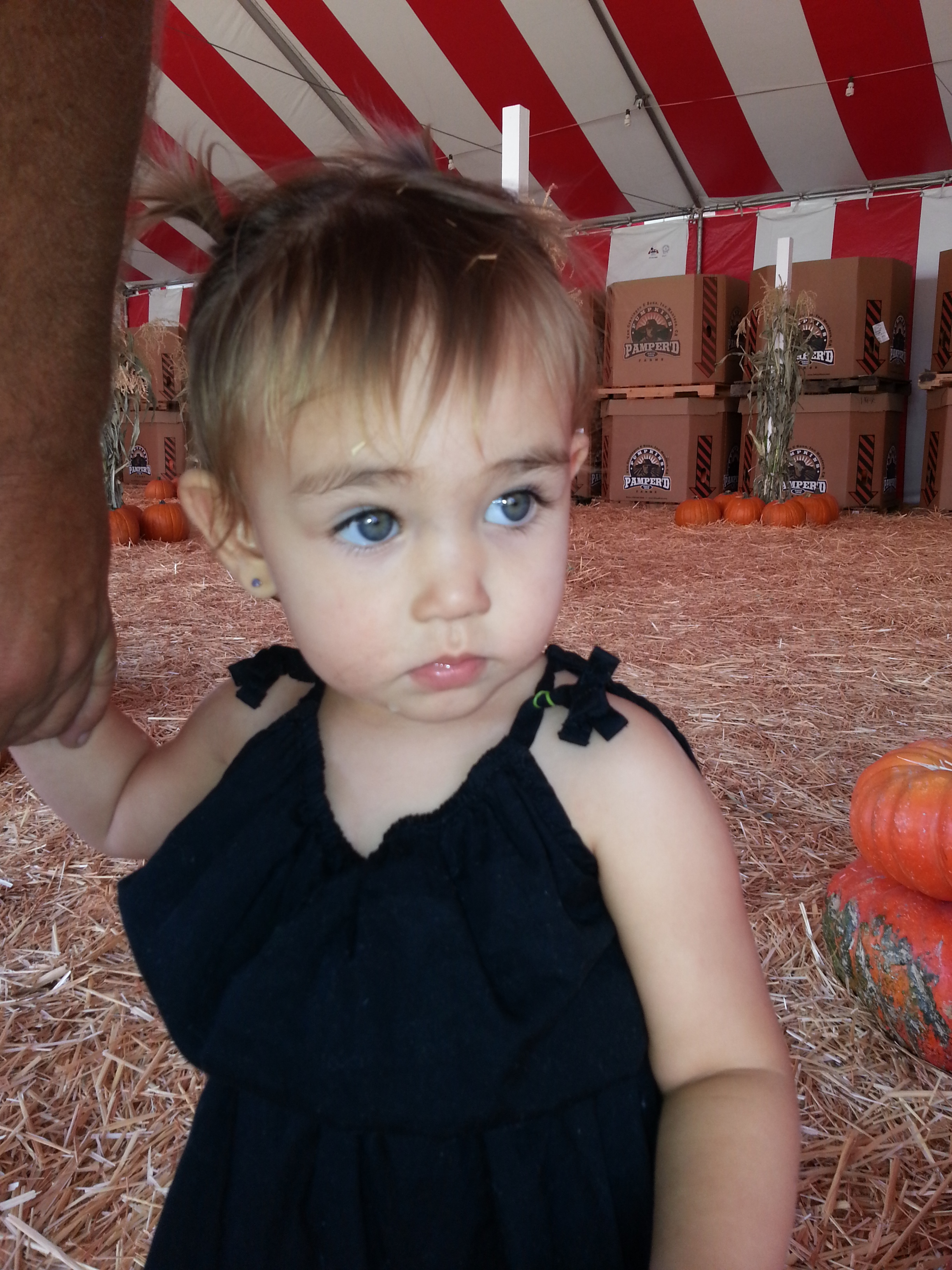 Name:  20131018_142748.jpg
Views: 125
Size:  2.23 MB