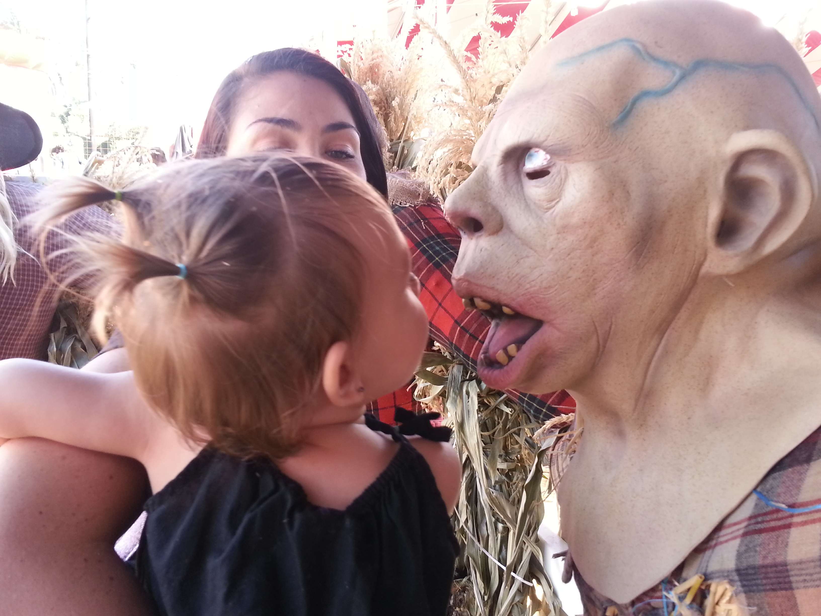 Name:  20131018_143224.jpg
Views: 61
Size:  1.65 MB