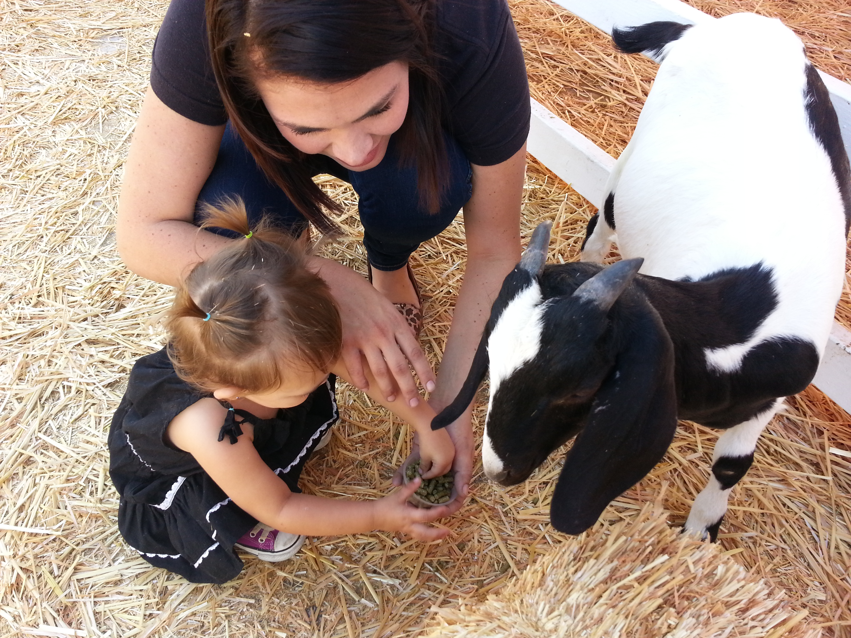 Name:  20131018_143555.jpg
Views: 119
Size:  3.05 MB