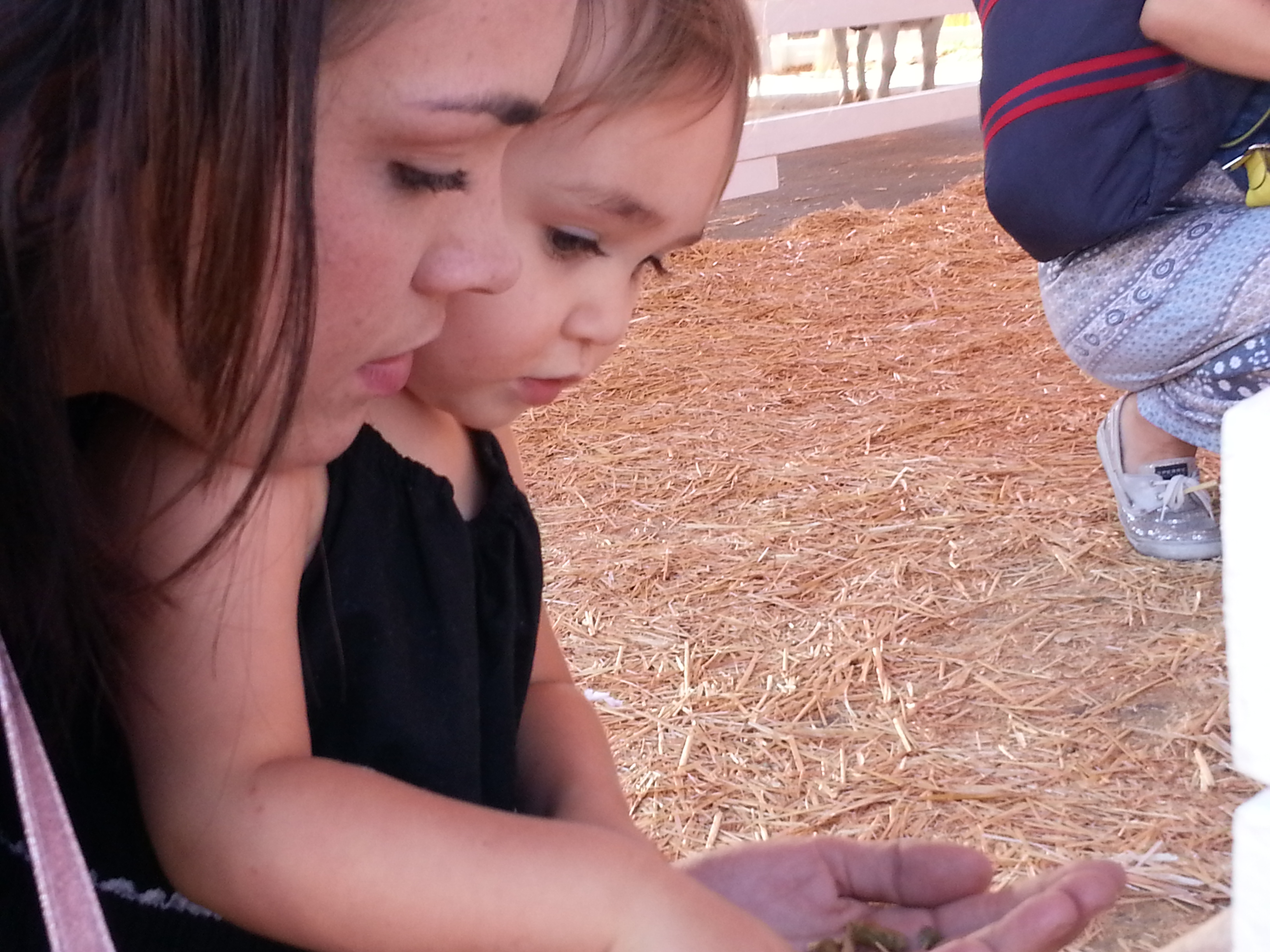 Name:  20131018_143918.jpg
Views: 70
Size:  1.92 MB