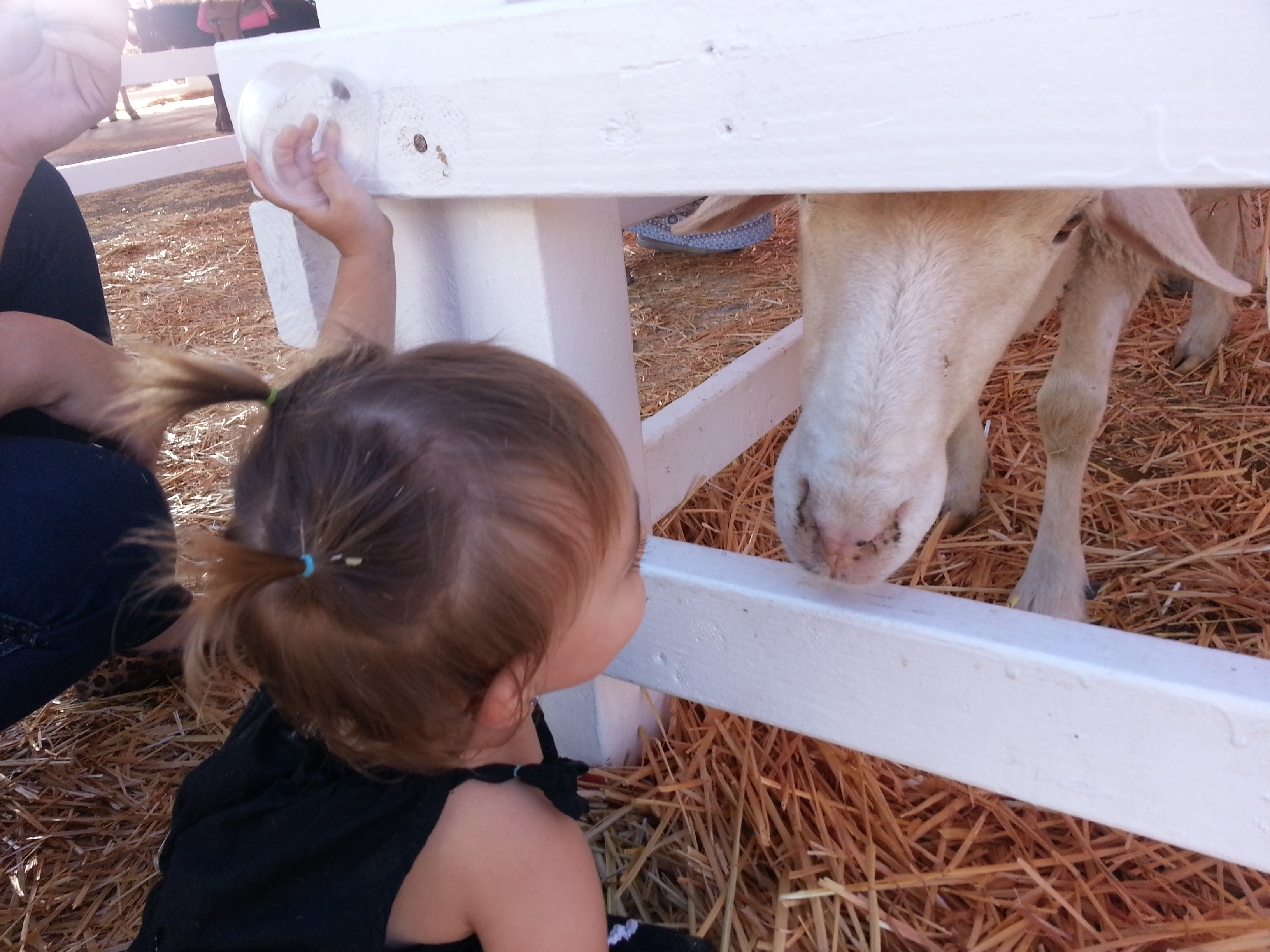 Name:  20131018_144006.jpg
Views: 98
Size:  2.06 MB