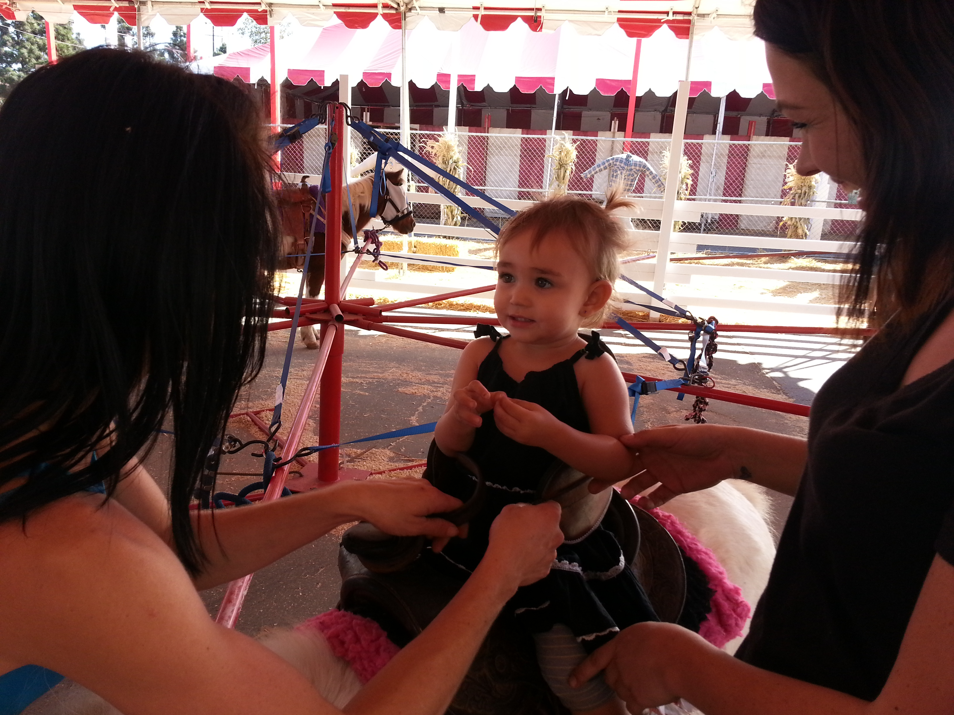 Name:  20131018_144224.jpg
Views: 105
Size:  2.38 MB