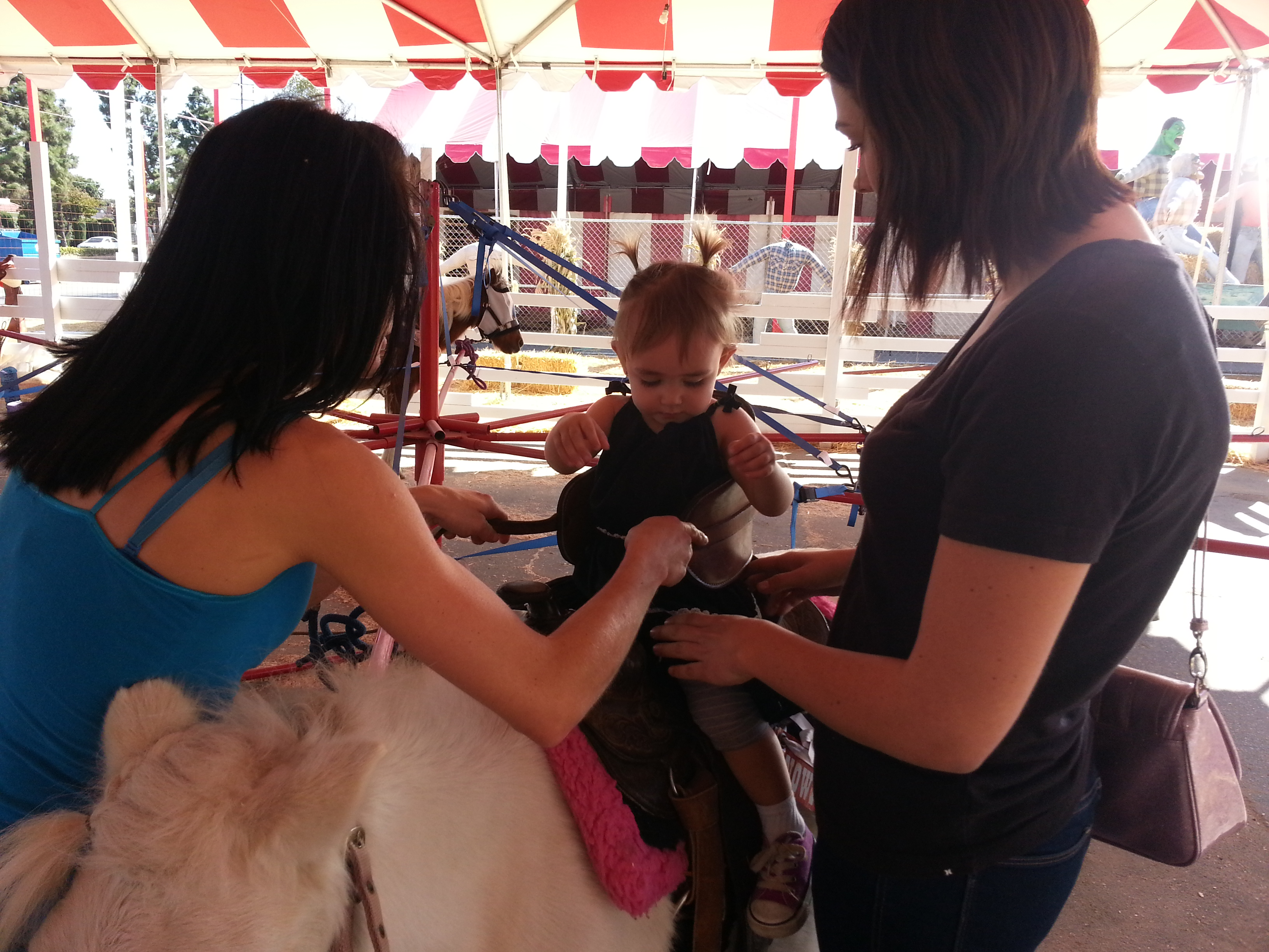 Name:  20131018_144217.jpg
Views: 127
Size:  2.28 MB