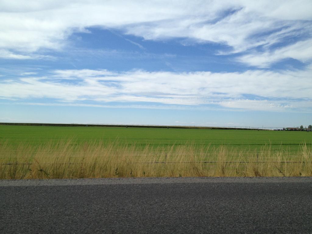 Name:  photo2_zpscdded74c.jpg
Views: 27
Size:  81.5 KB
