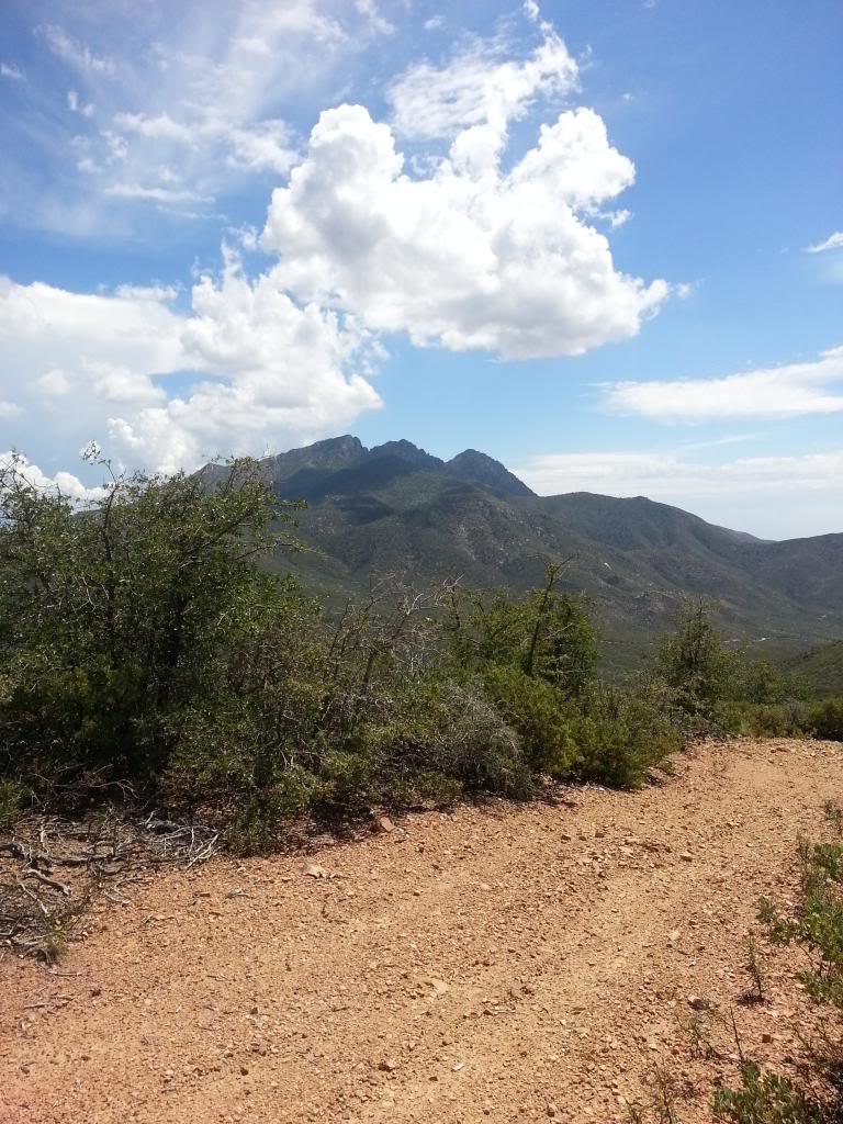 Name:  2013-09-02124855_zpsbe3725bd.jpg
Views: 79
Size:  158.5 KB