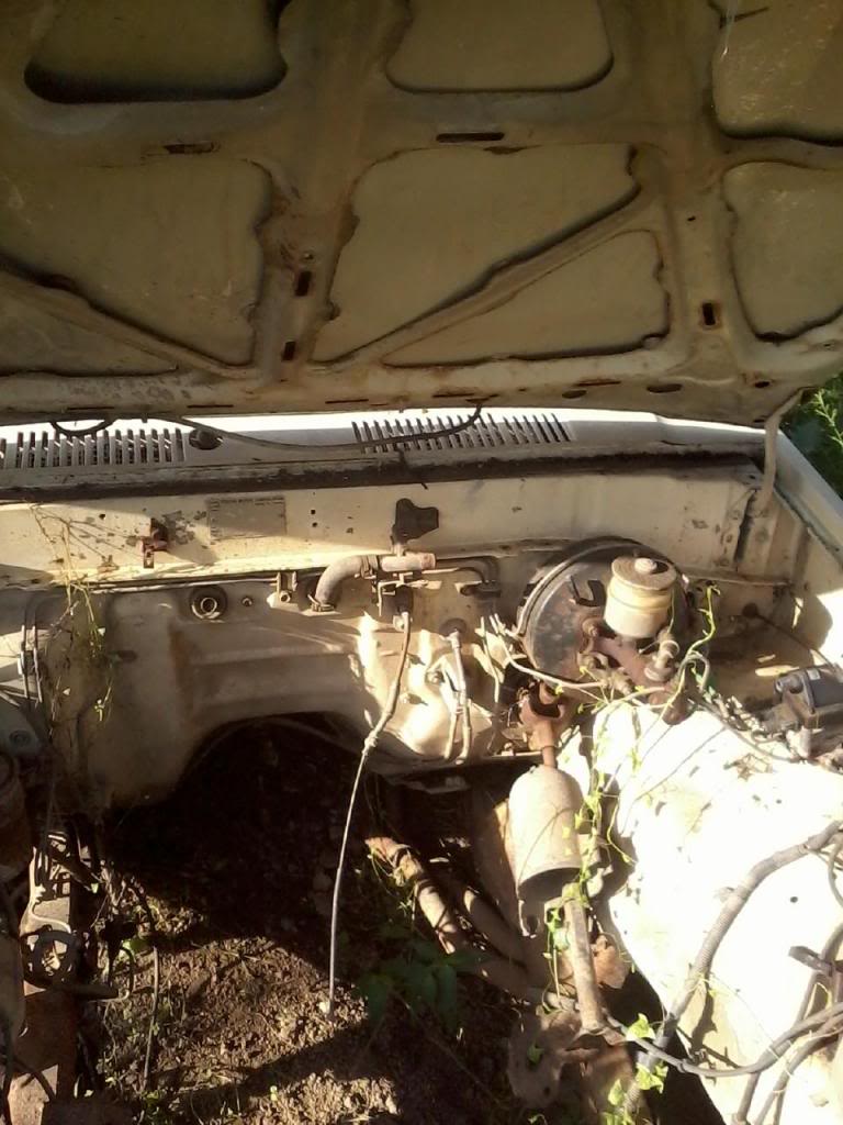 Name:  electric6_zps2361ceed.jpg
Views: 87
Size:  99.6 KB